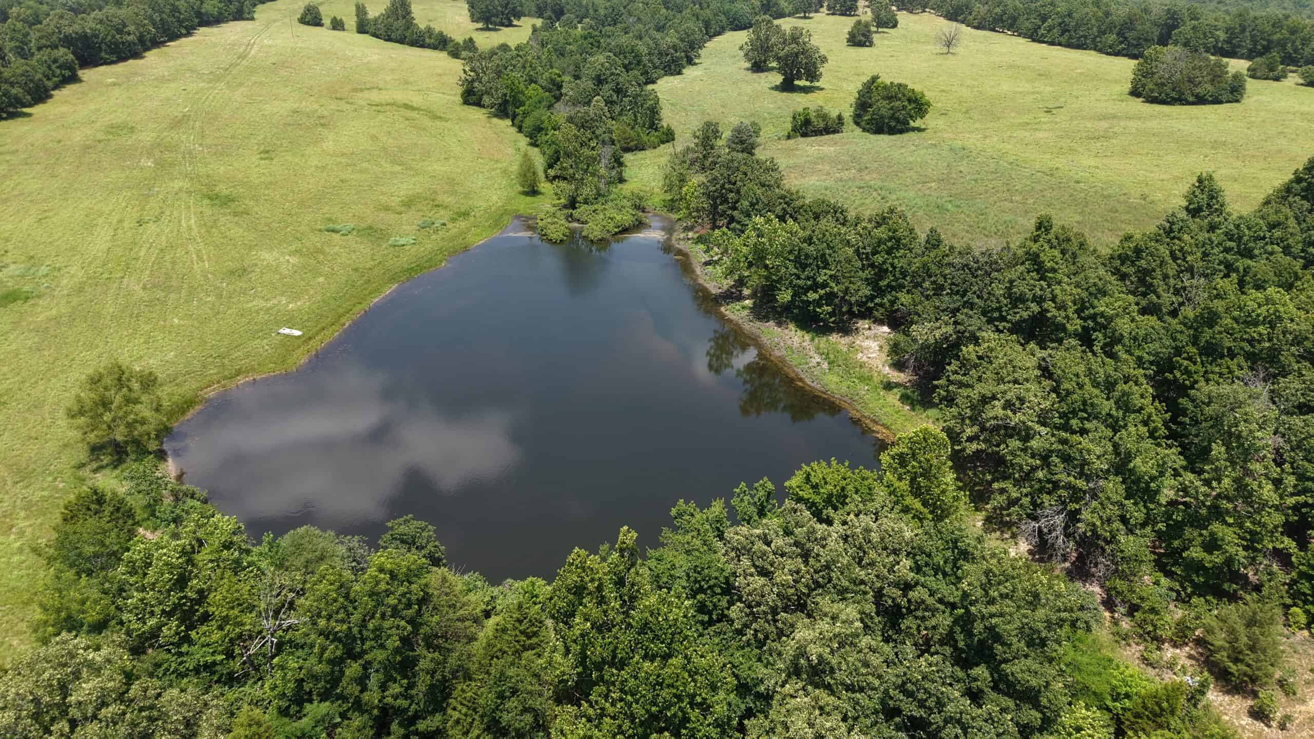 128-Acre Hunting & Recreational Property for Sale in the Missouri Ozarks