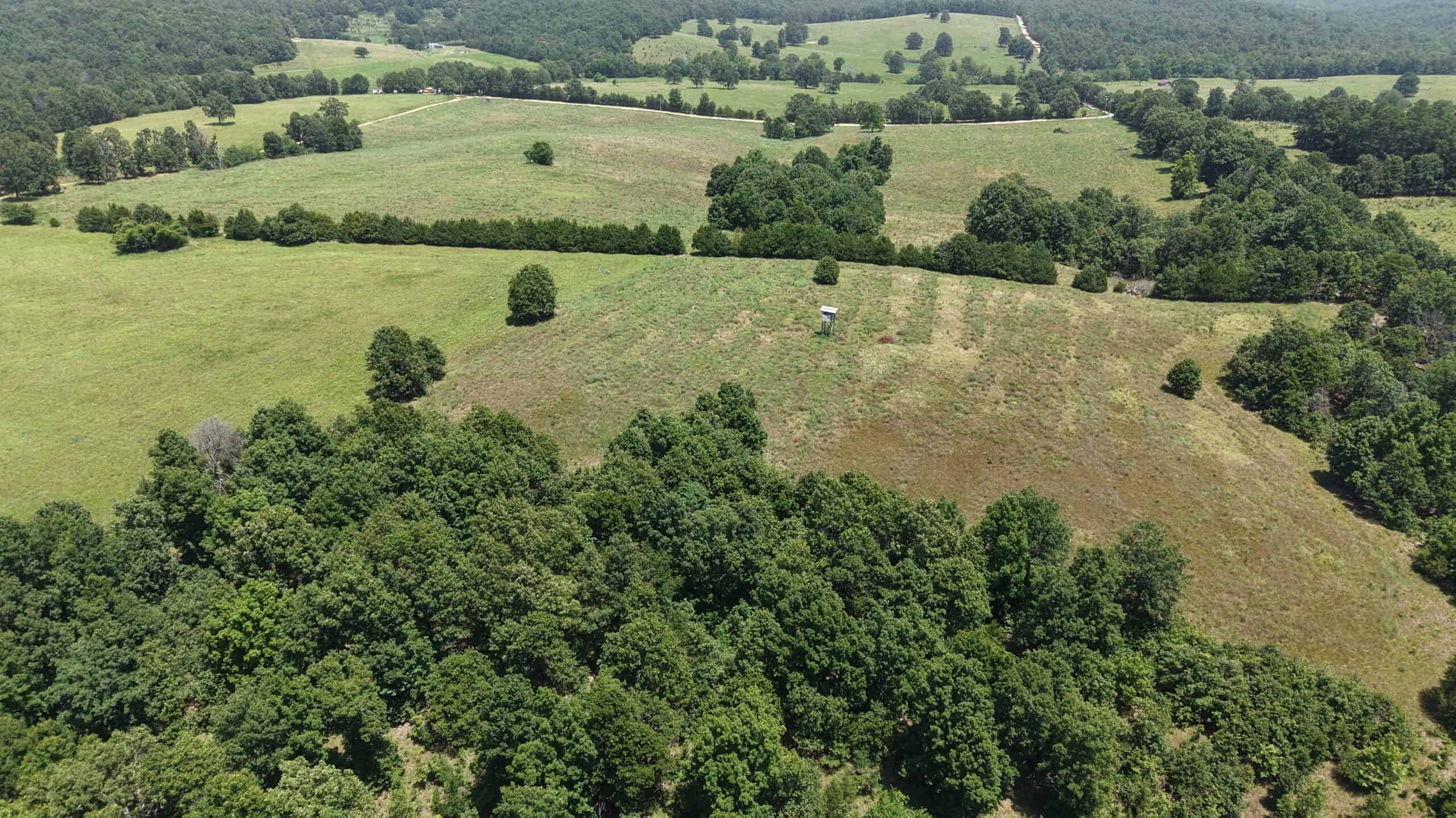 128-Acre Hunting & Recreational Property for Sale in the Missouri Ozarks