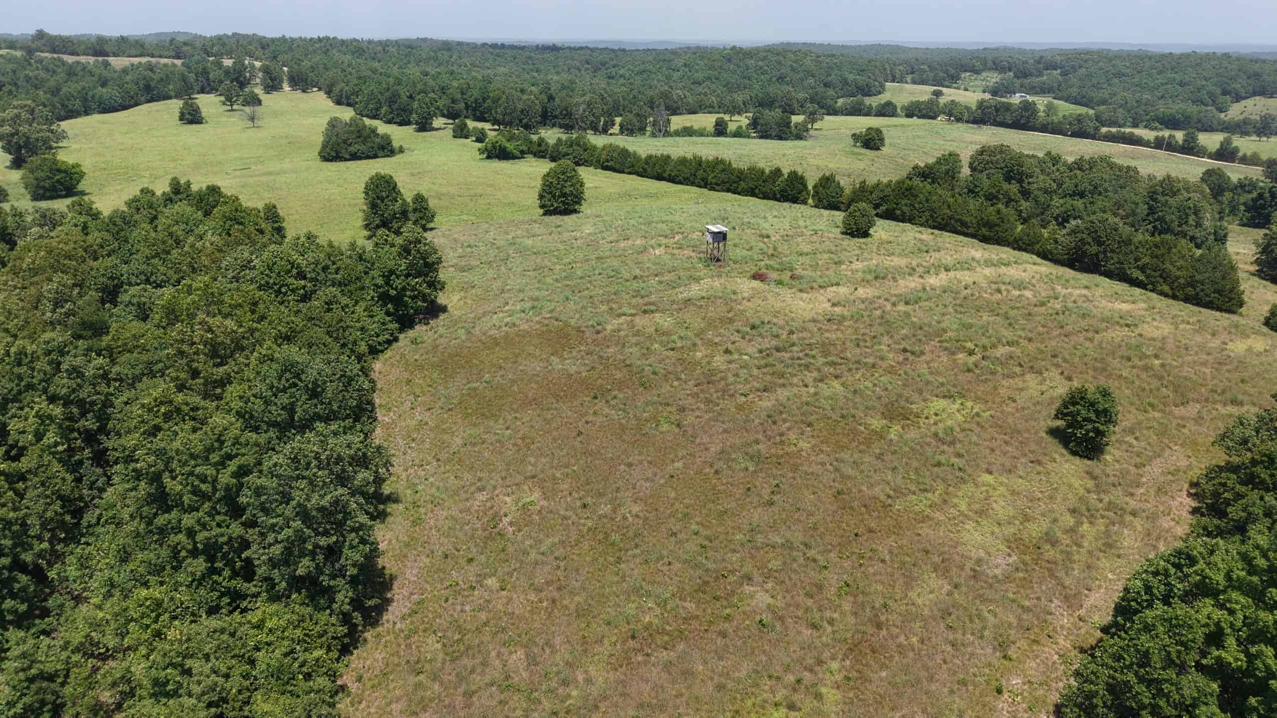 128-Acre Hunting & Recreational Property for Sale in the Missouri Ozarks