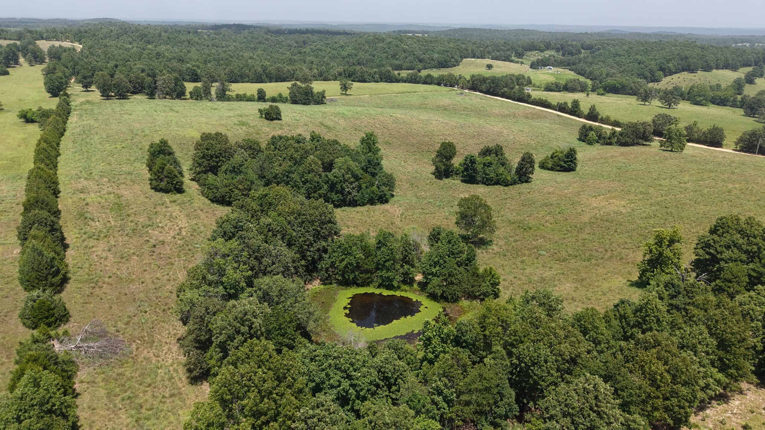 128-Acre Hunting & Recreational Property for Sale in the Missouri Ozarks