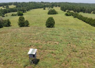 128-Acre Hunting & Recreational Property for Sale in the Missouri Ozarks