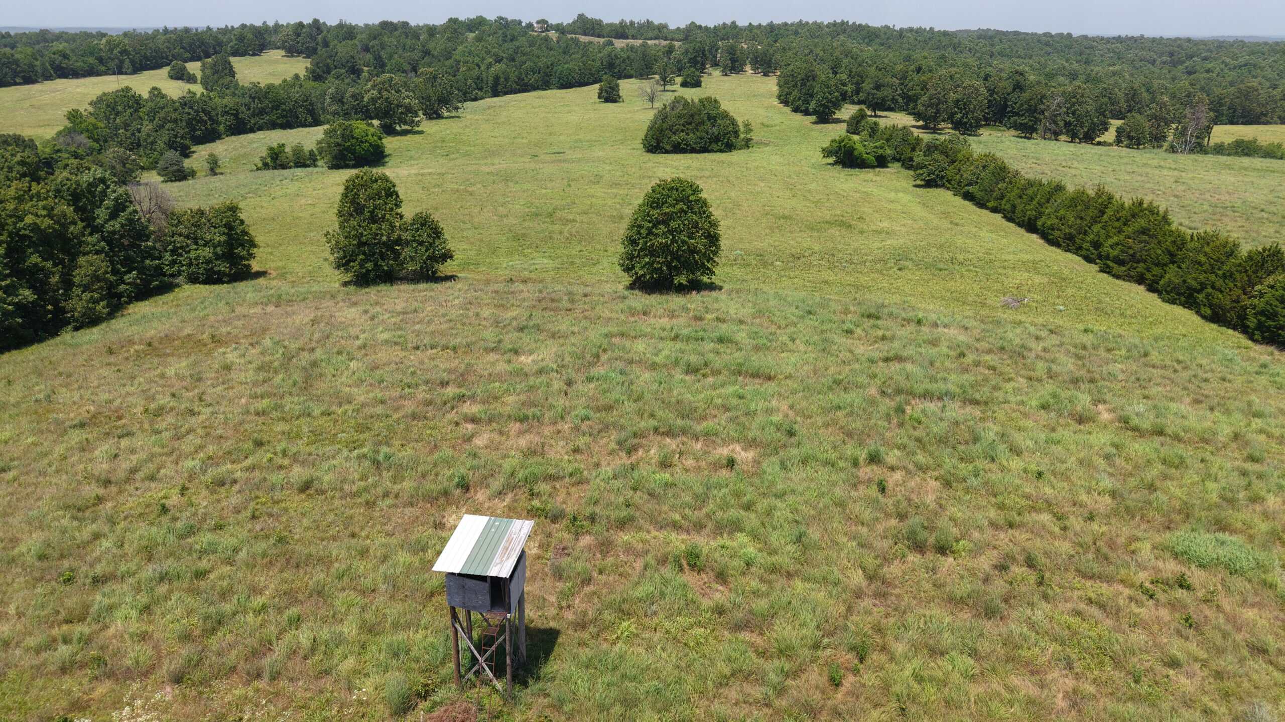 128-Acre Hunting & Recreational Property for Sale in the Missouri Ozarks