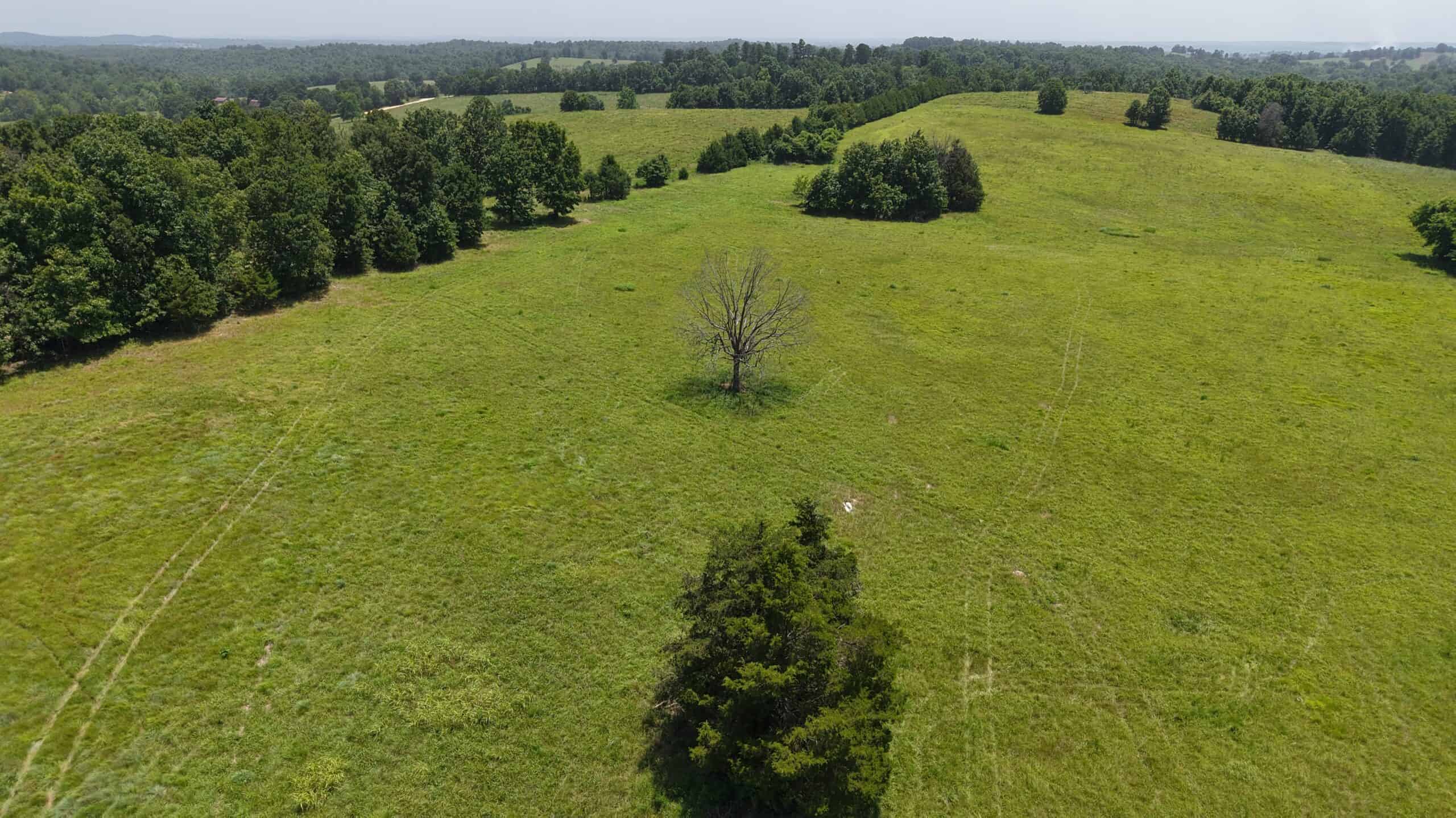 128-Acre Hunting & Recreational Property for Sale in the Missouri Ozarks