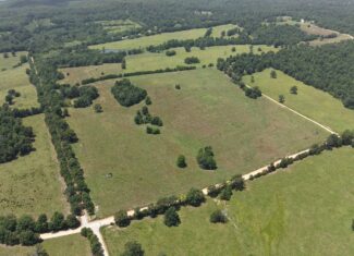 128-Acre Hunting & Recreational Property for Sale in the Missouri Ozarks