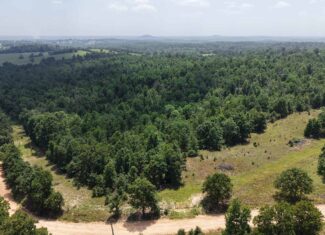 LAND FOR SALE IN NORTH CENTRAL ARKANSAS