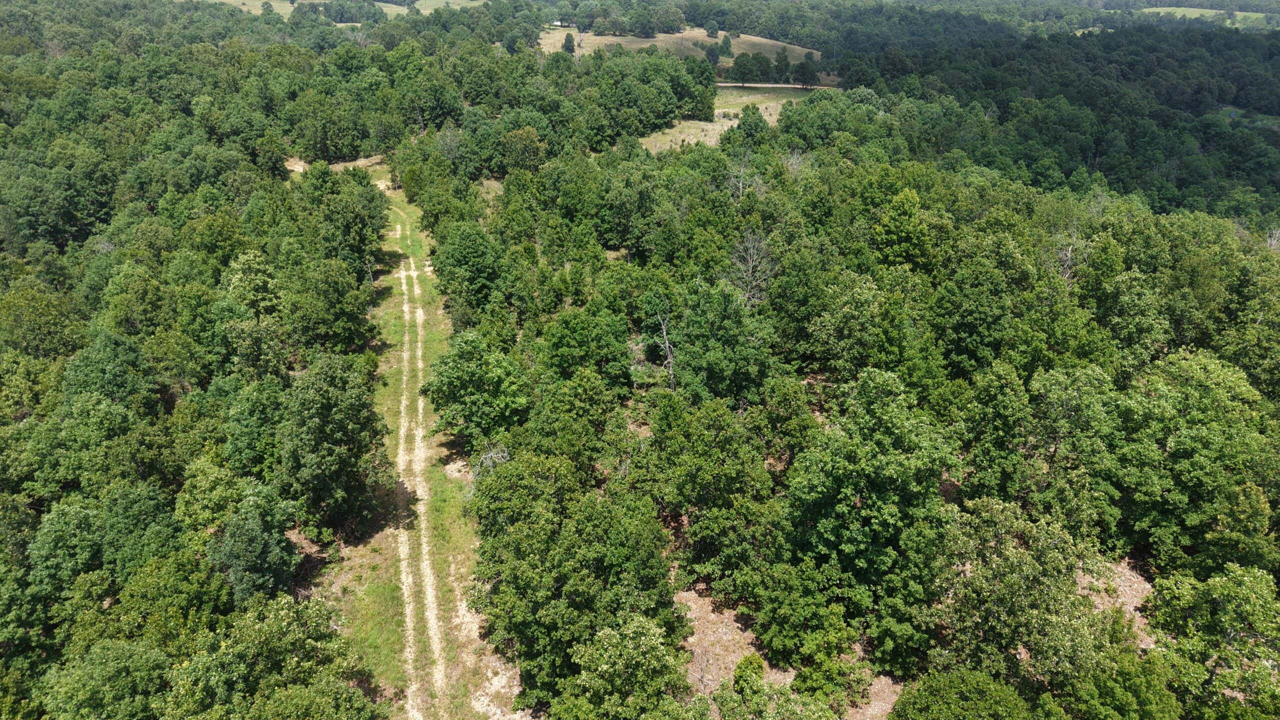 LAND FOR SALE IN NORTH CENTRAL ARKANSAS