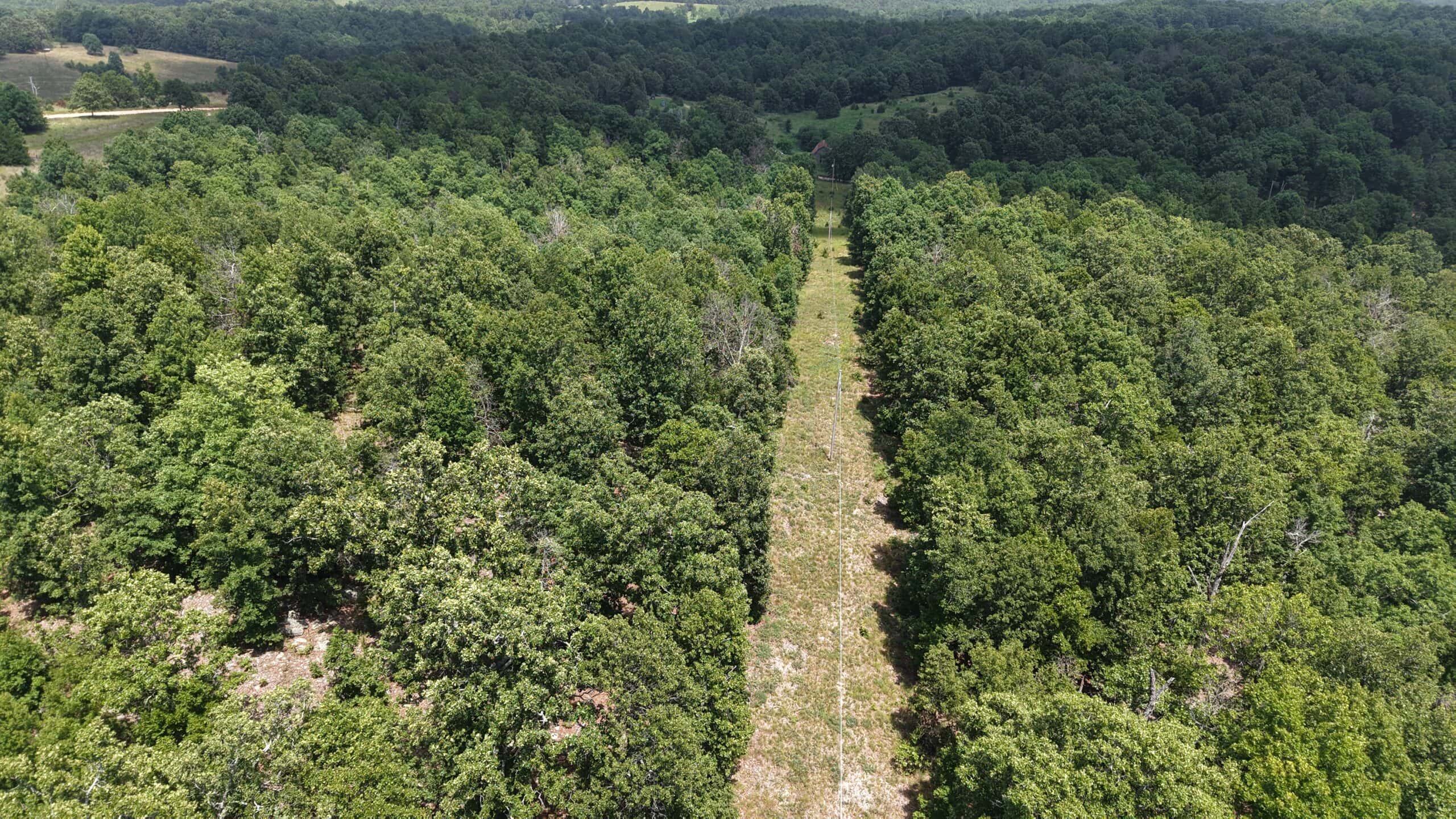 LAND FOR SALE IN NORTH CENTRAL ARKANSAS
