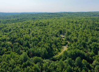 Escape to Maine: Off-Grid Solar Cabin on 45 Acres with Brook