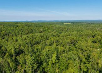 Escape to Maine: Off-Grid Solar Cabin on 45 Acres with Brook