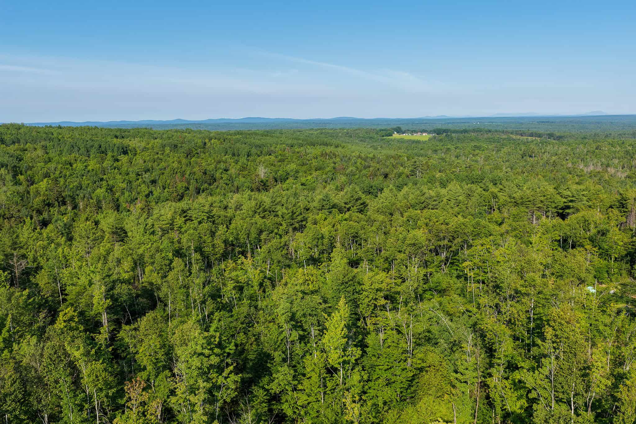 Escape to Maine: Off-Grid Solar Cabin on 45 Acres with Brook