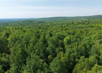 80 Acres of Maine Land Bordering 900 Acres of Public Land