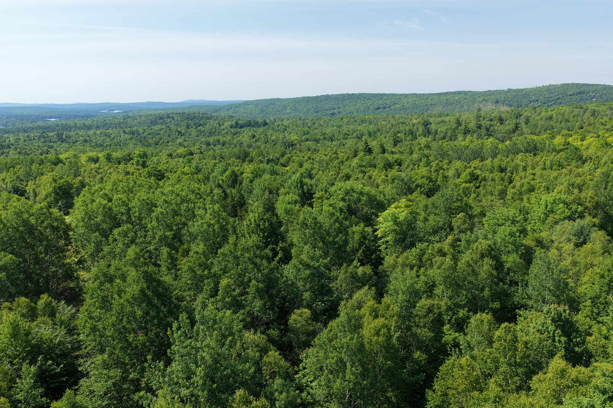 80 Acres of Maine Land Bordering 900 Acres of Public Land