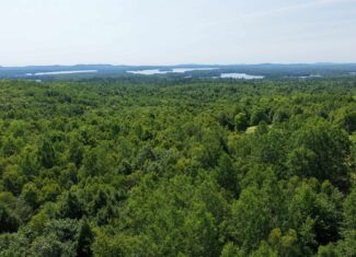 80 Acres of Maine Land Bordering 900 Acres of Public Land
