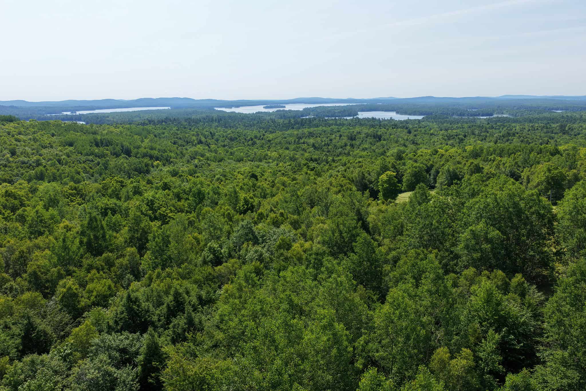 80 Acres of Maine Land Bordering 900 Acres of Public Land