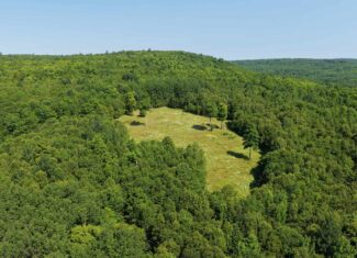 80 Acres of Maine Land Bordering 900 Acres of Public Land