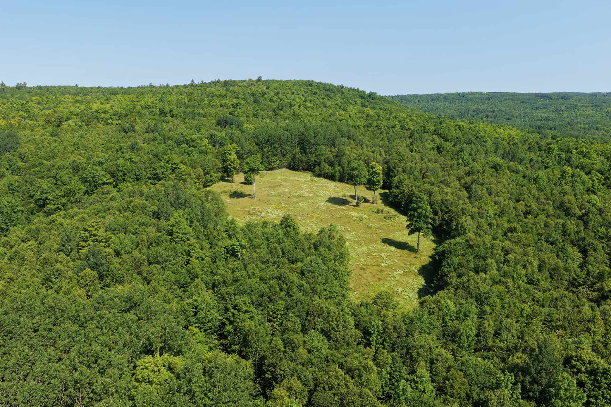 80 Acres of Maine Land Bordering 900 Acres of Public Land