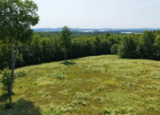 80 Acres of Maine Land Bordering 900 Acres of Public Land