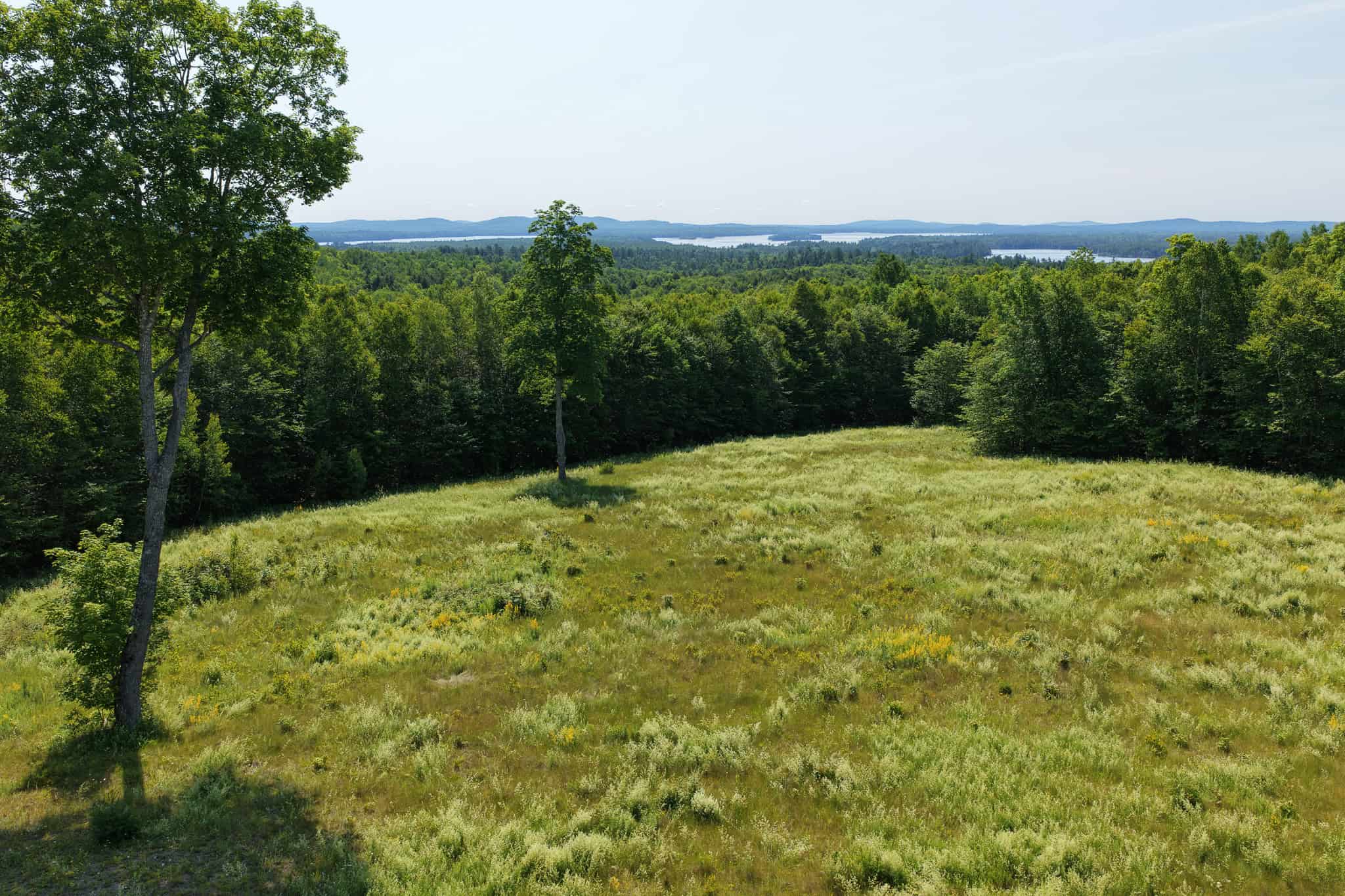 80 Acres of Maine Land Bordering 900 Acres of Public Land