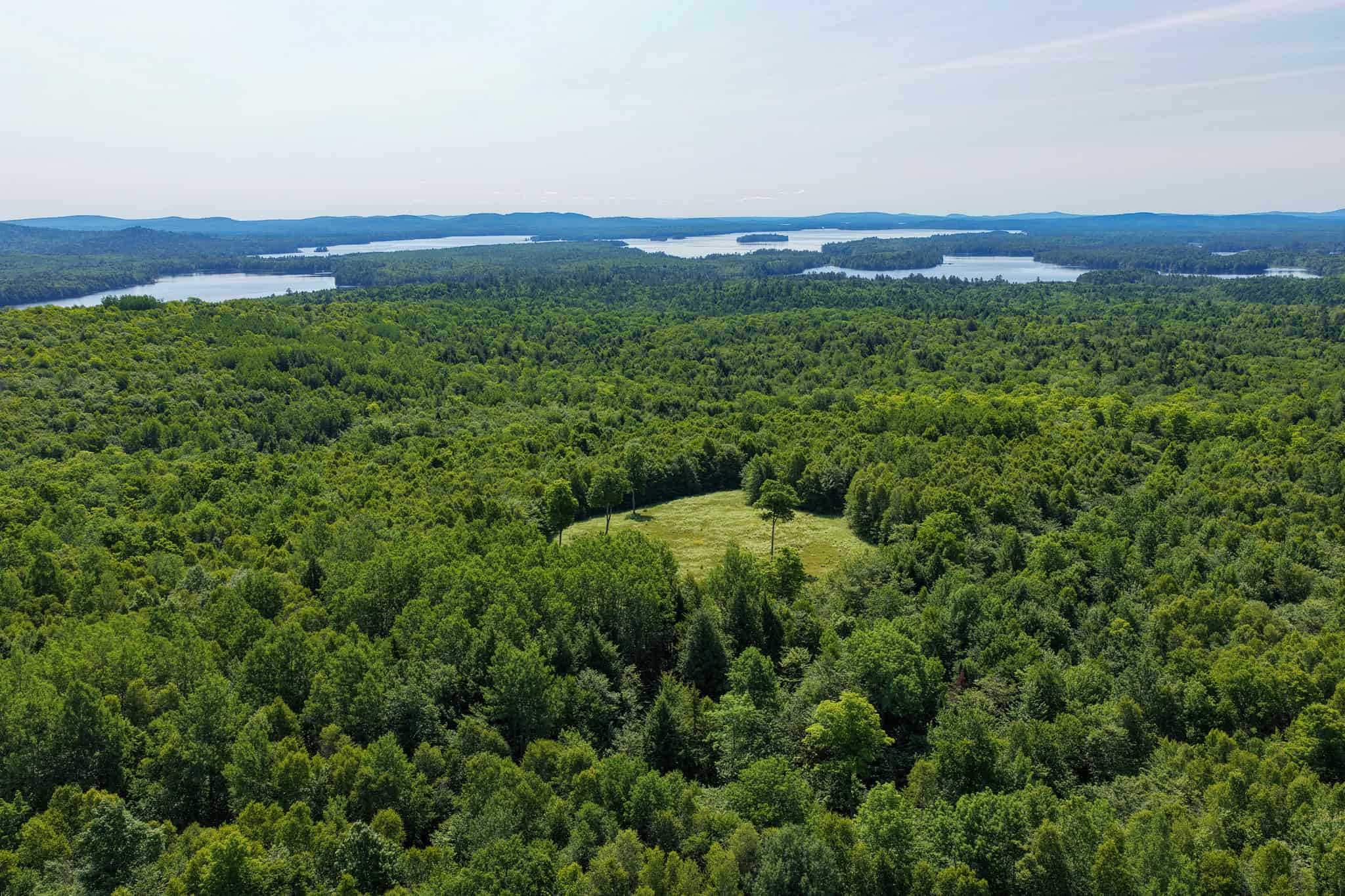 80 Acres of Maine Land Bordering 900 Acres of Public Land