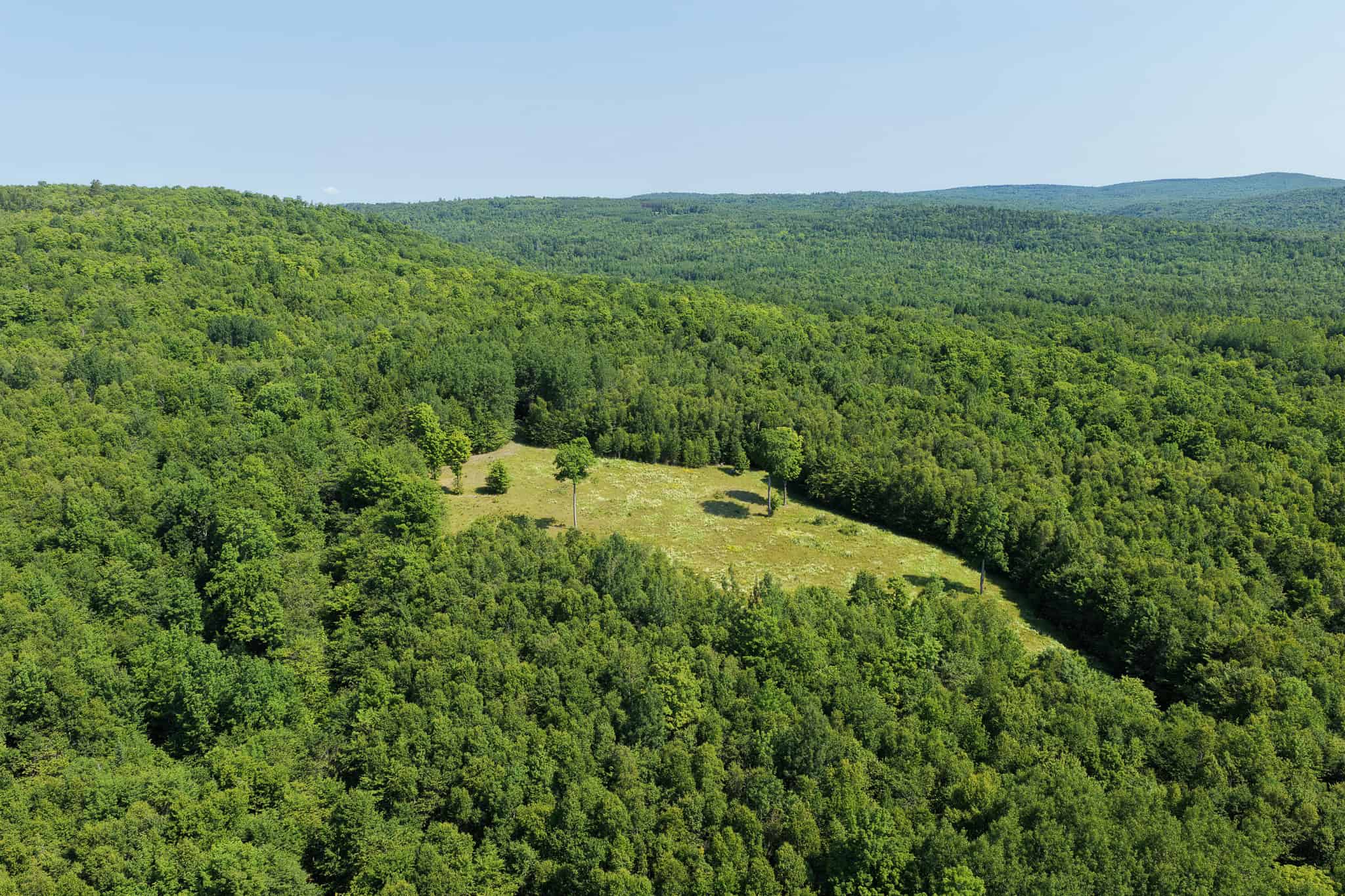 80 Acres of Maine Land Bordering 900 Acres of Public Land