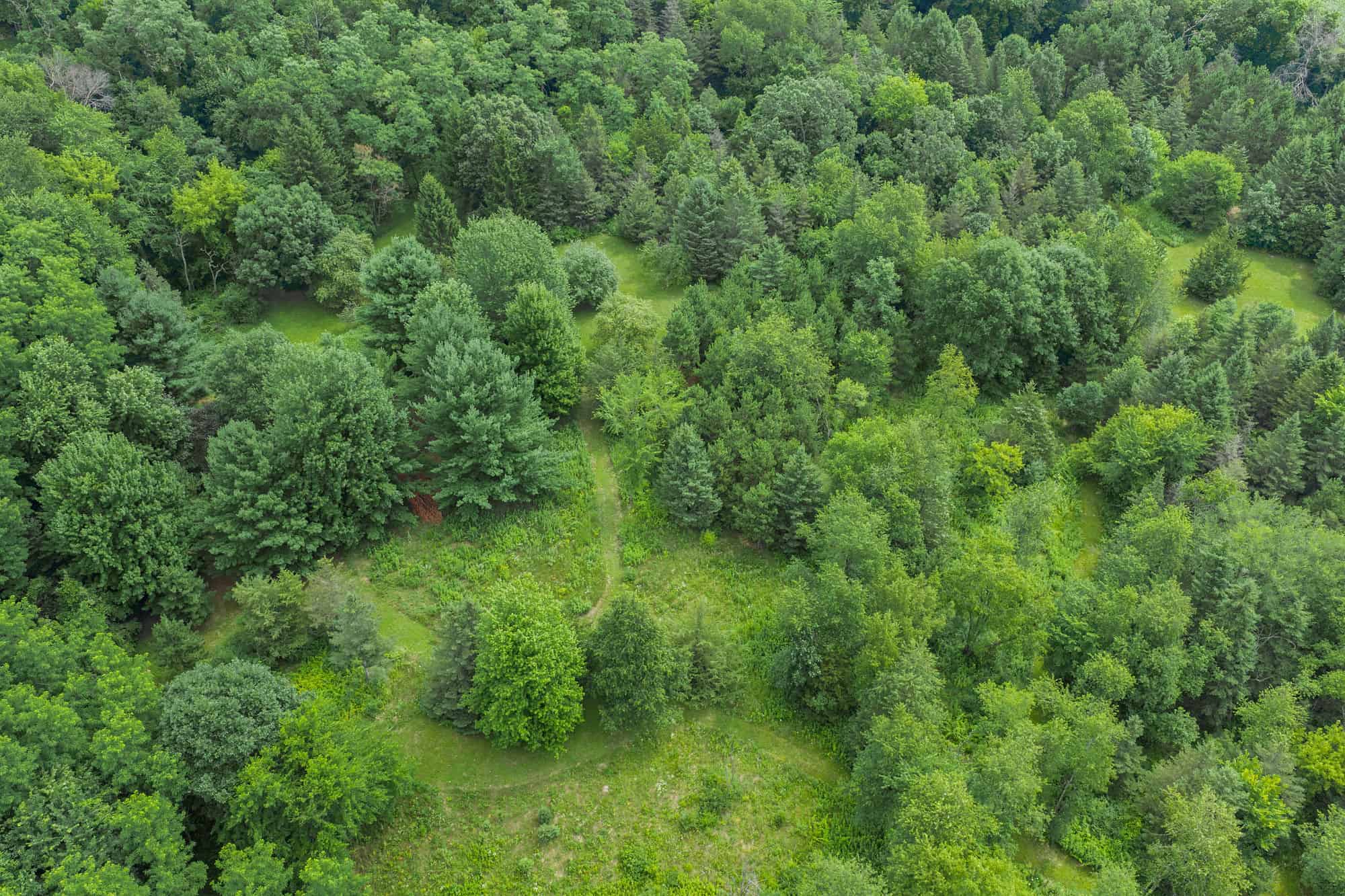 36 +/- Acres of Peaceful Living in Portage WI
