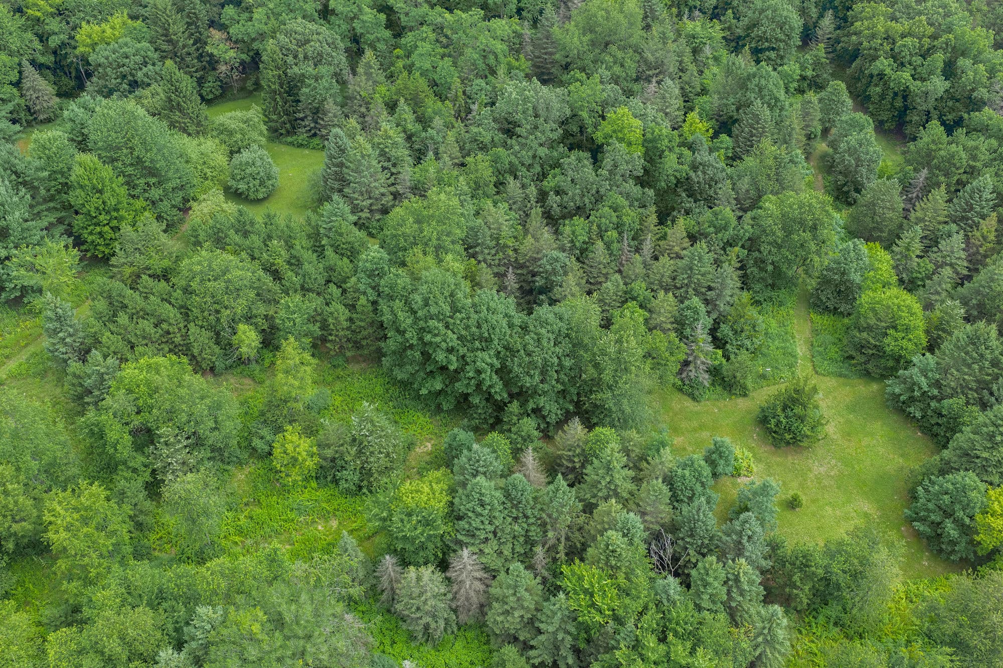 36 +/- Acres of Peaceful Living in Portage WI