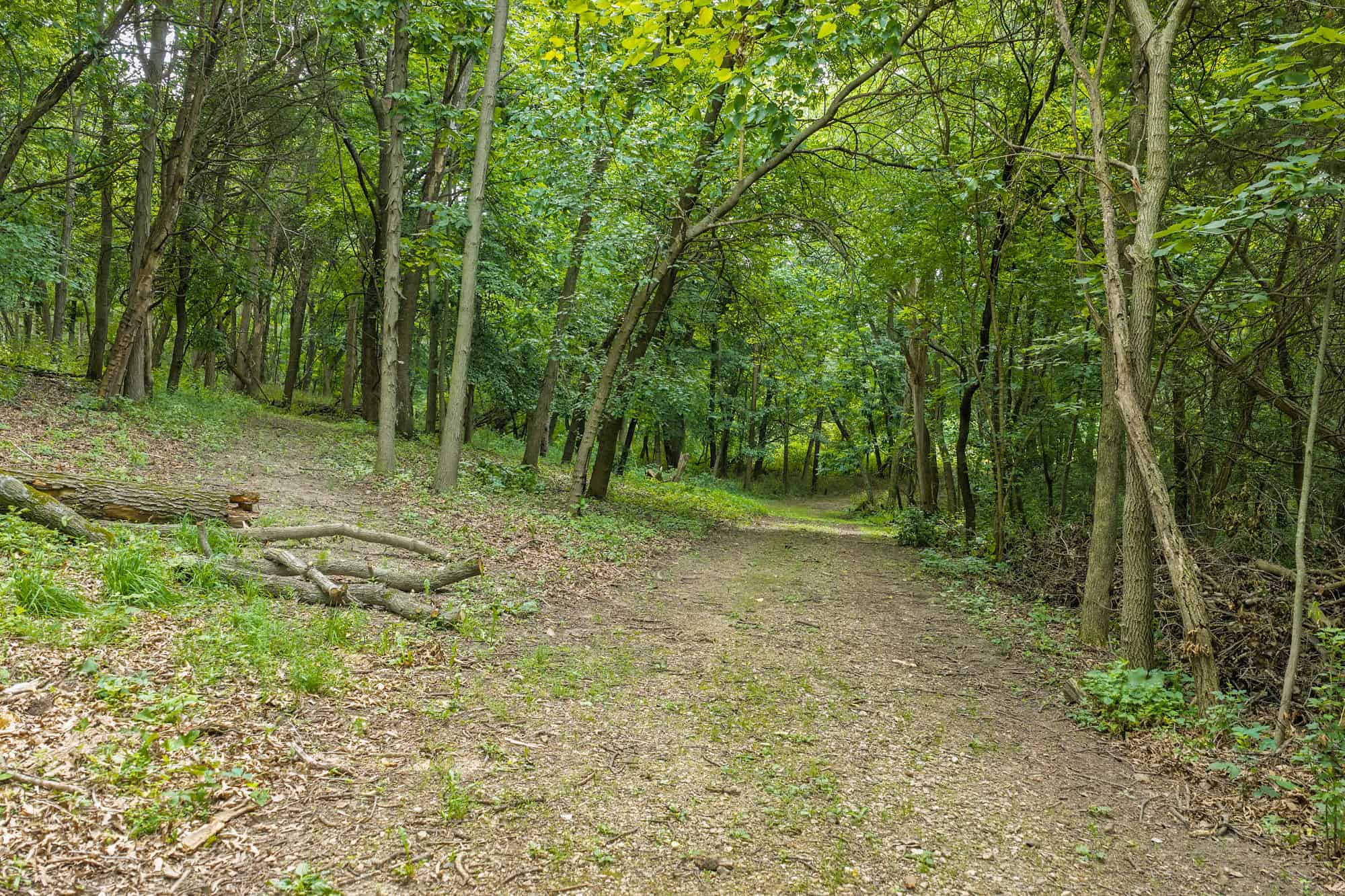 36 +/- Acres of Peaceful Living in Portage WI
