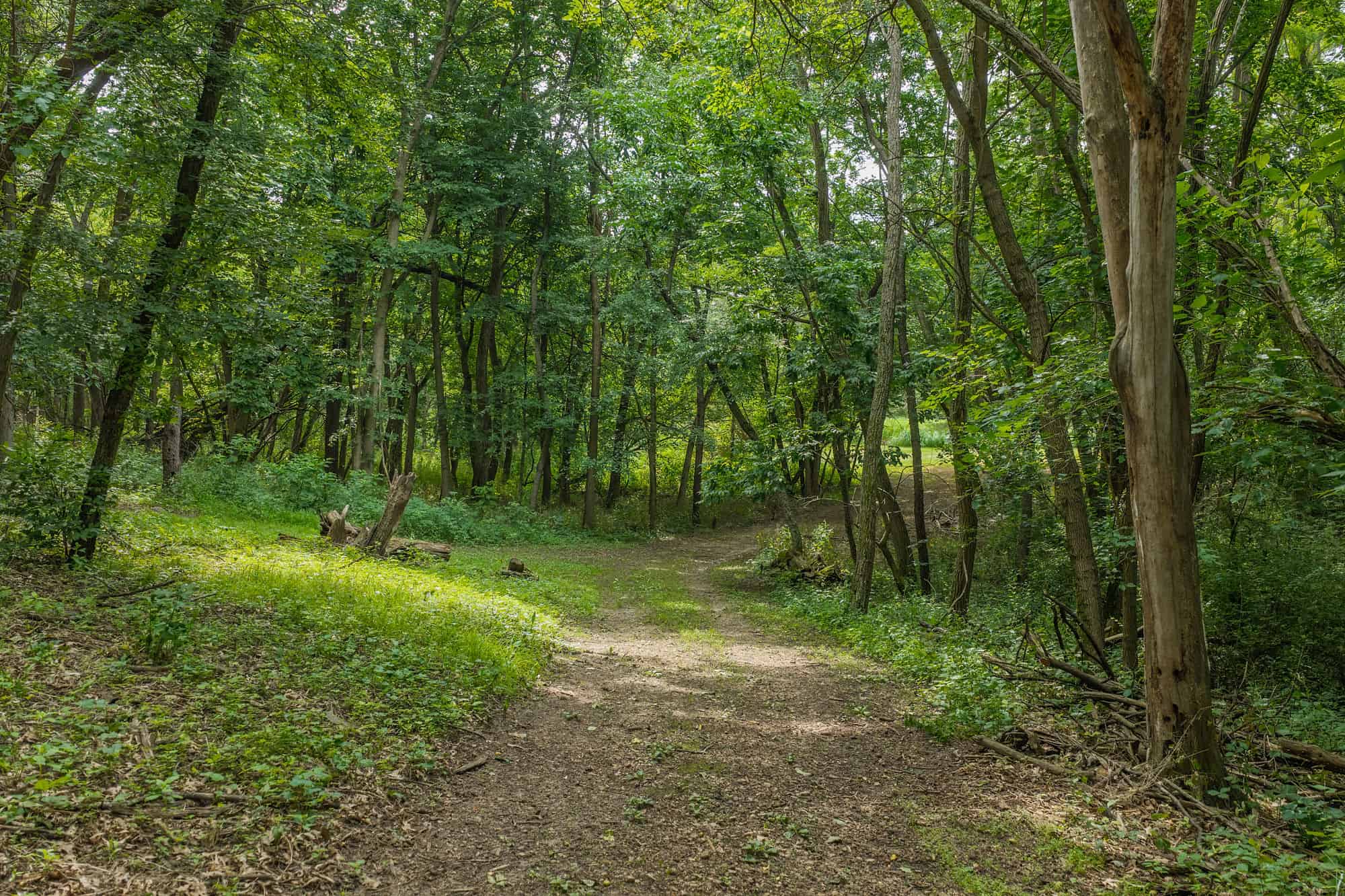 36 +/- Acres of Peaceful Living in Portage WI