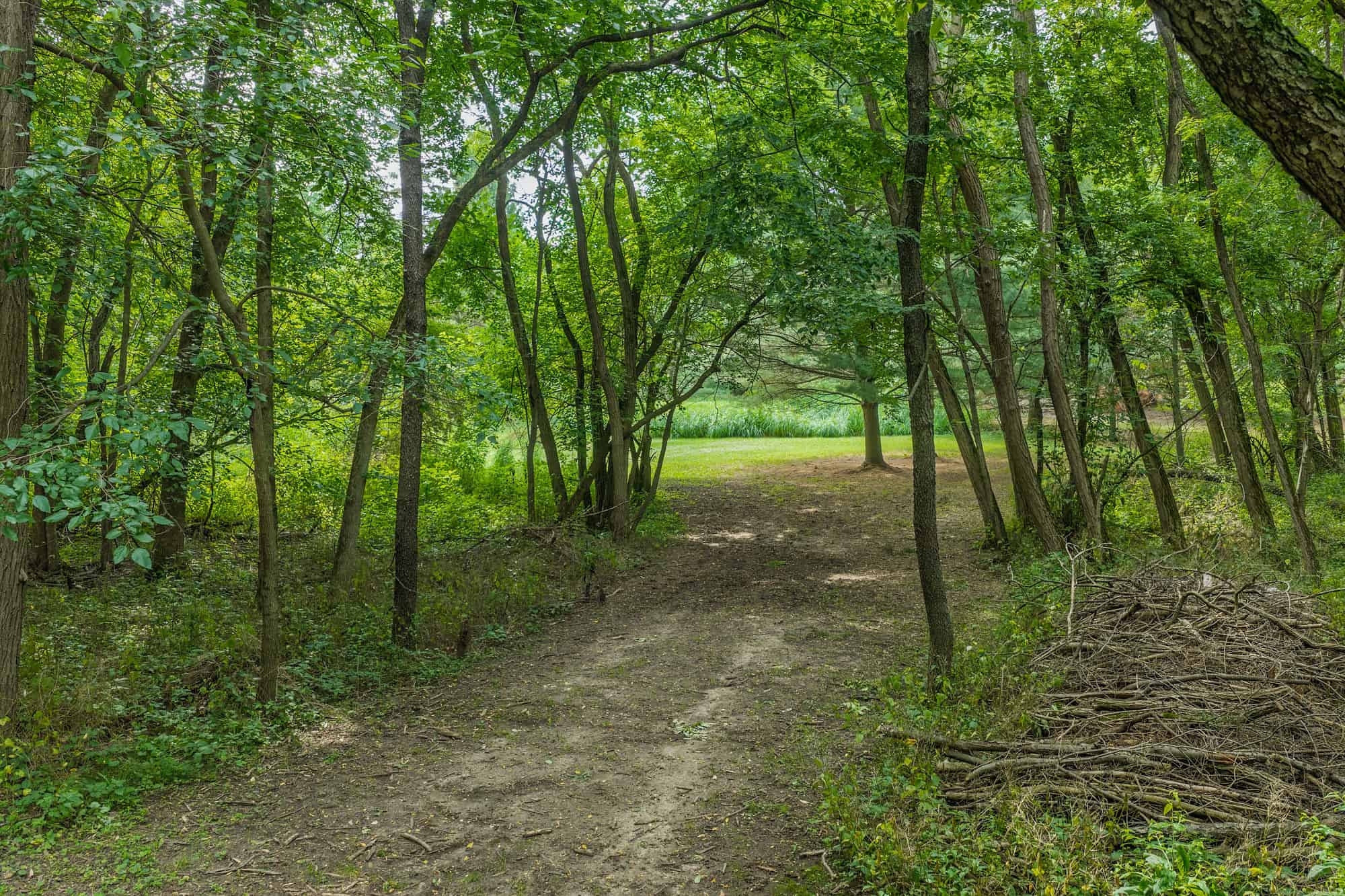 36 +/- Acres of Peaceful Living in Portage WI