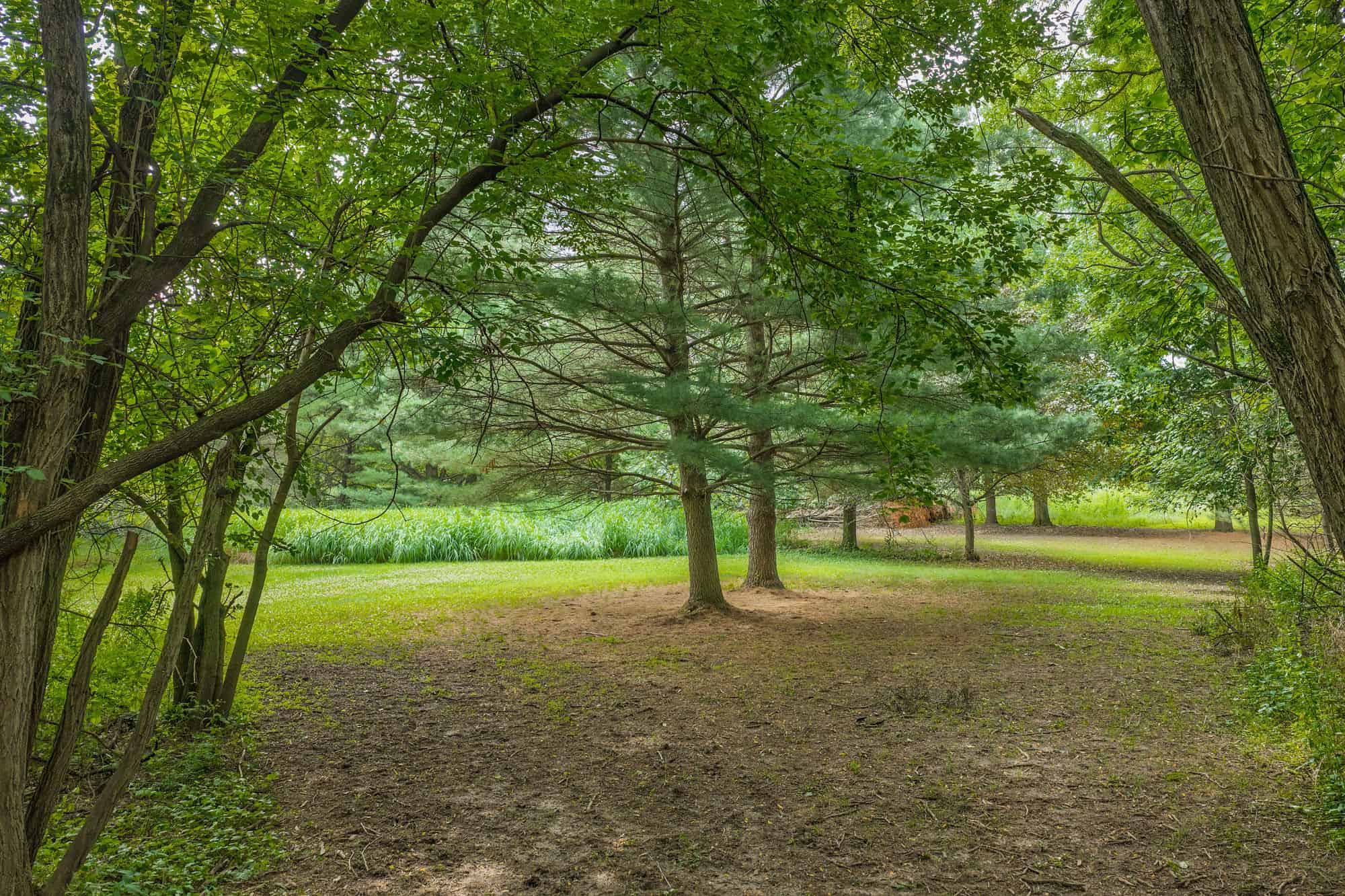 36 +/- Acres of Peaceful Living in Portage WI