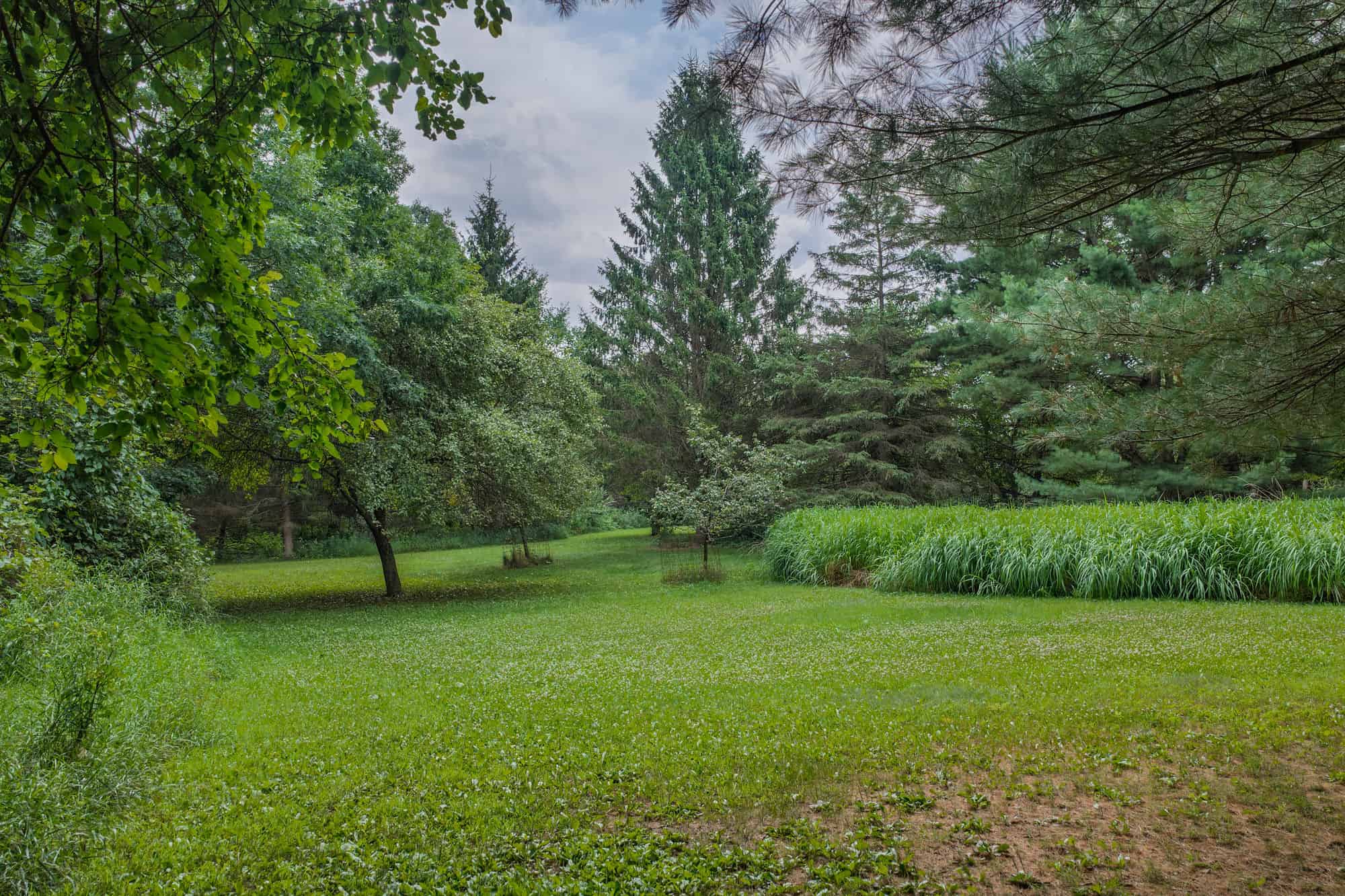 36 +/- Acres of Peaceful Living in Portage WI