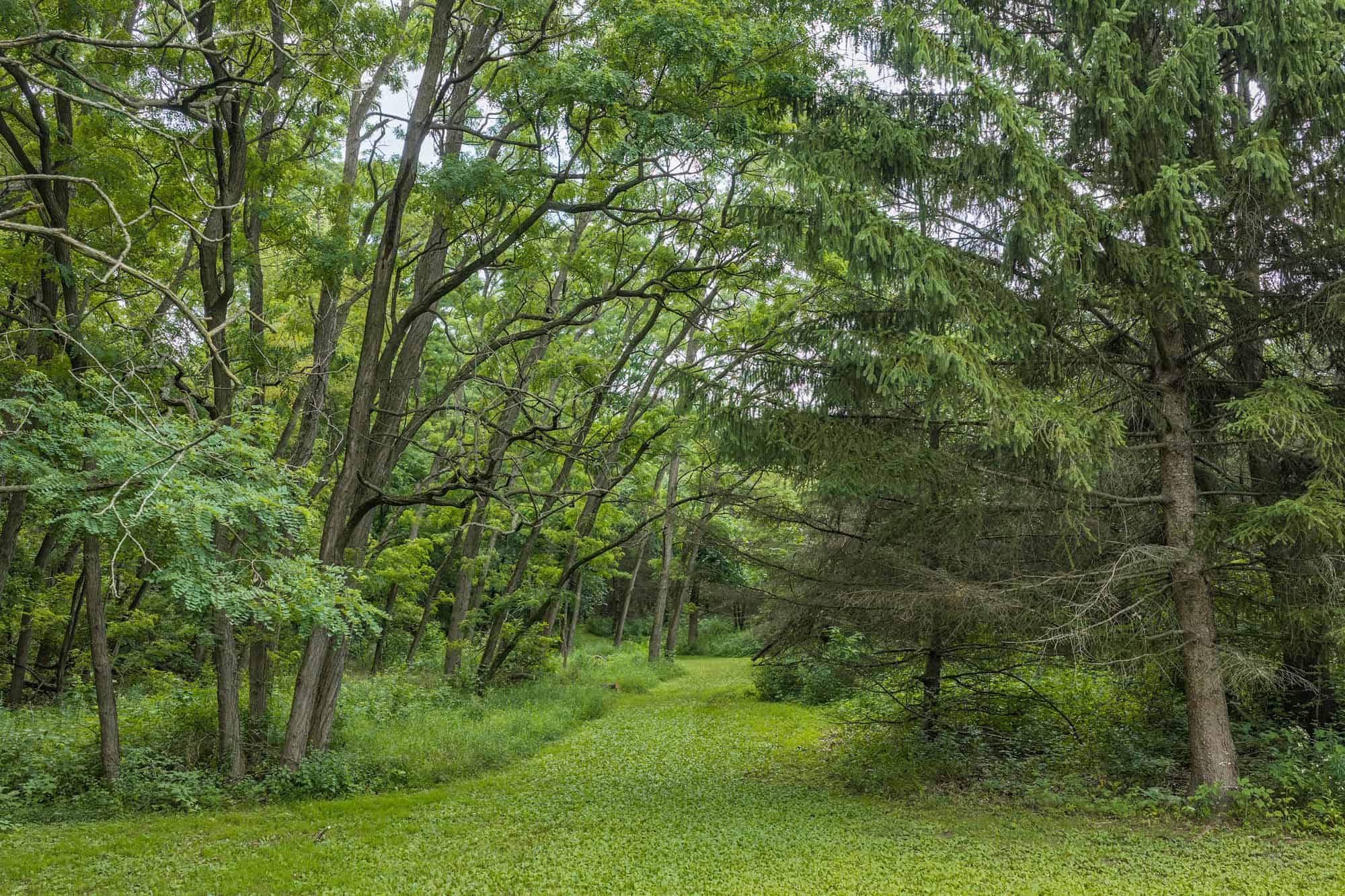 36 +/- Acres of Peaceful Living in Portage WI