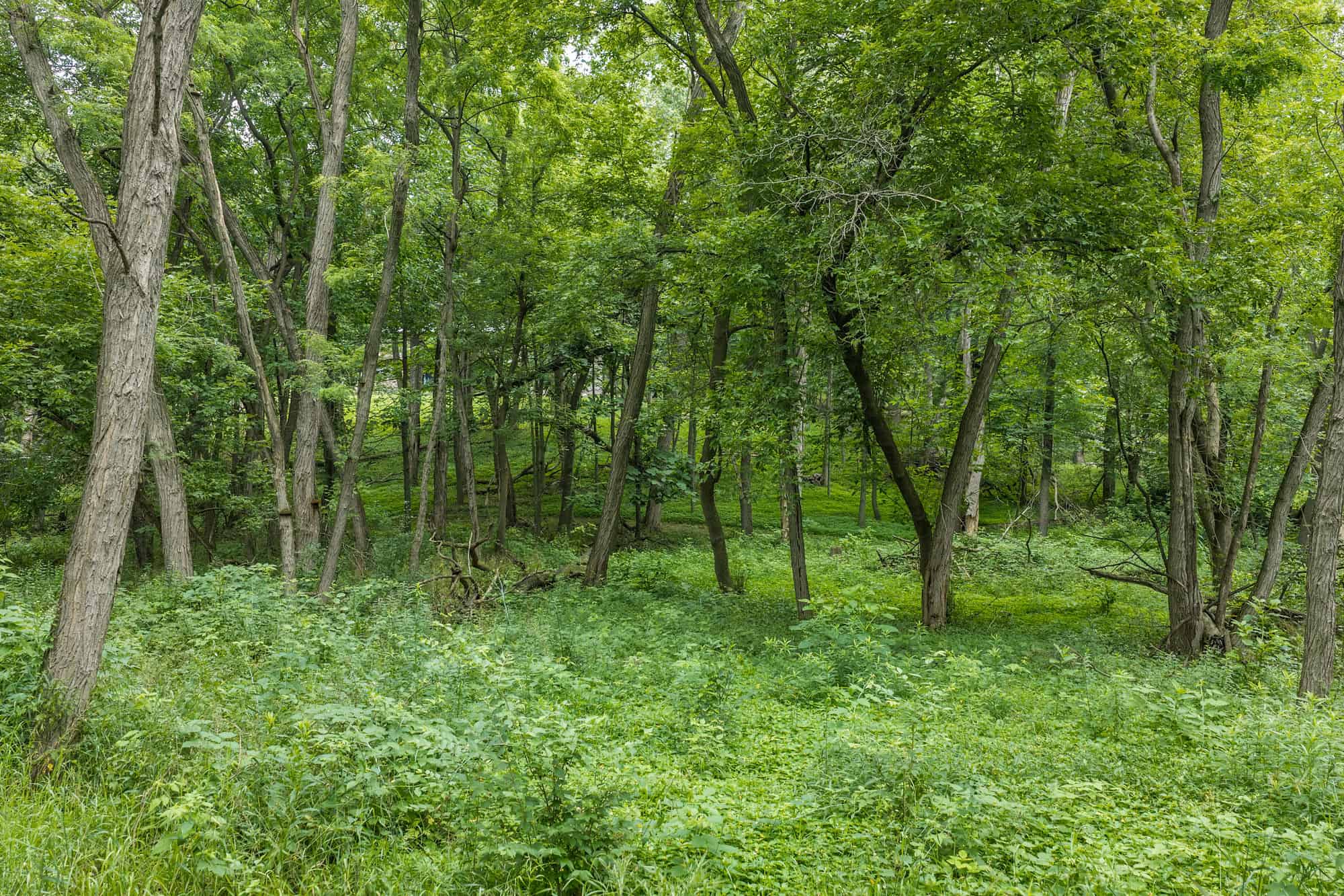 36 +/- Acres of Peaceful Living in Portage WI