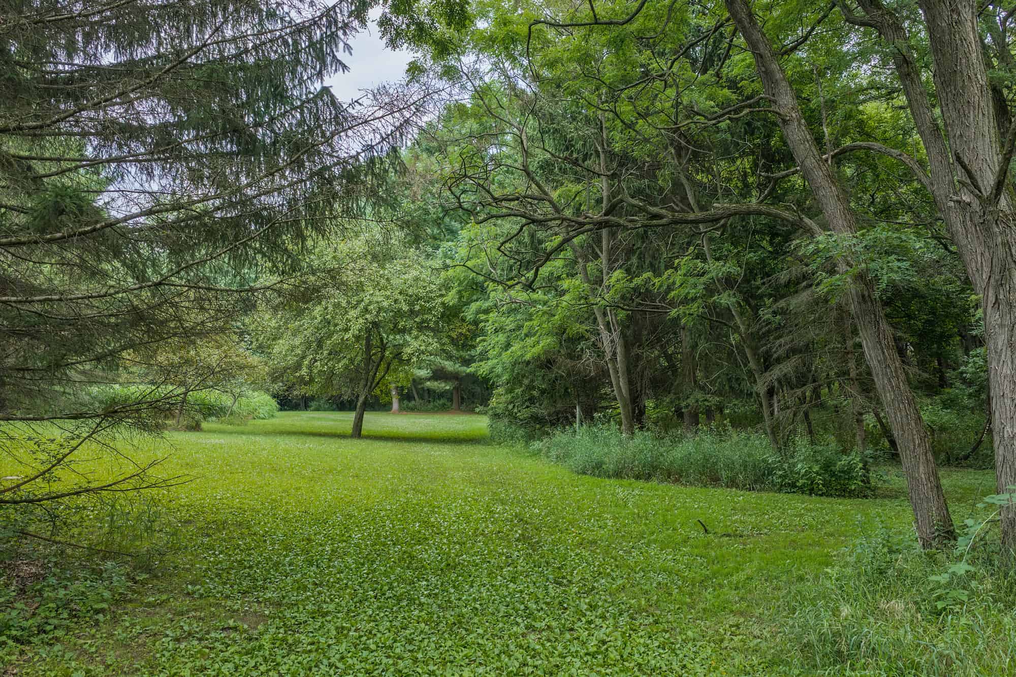 36 +/- Acres of Peaceful Living in Portage WI