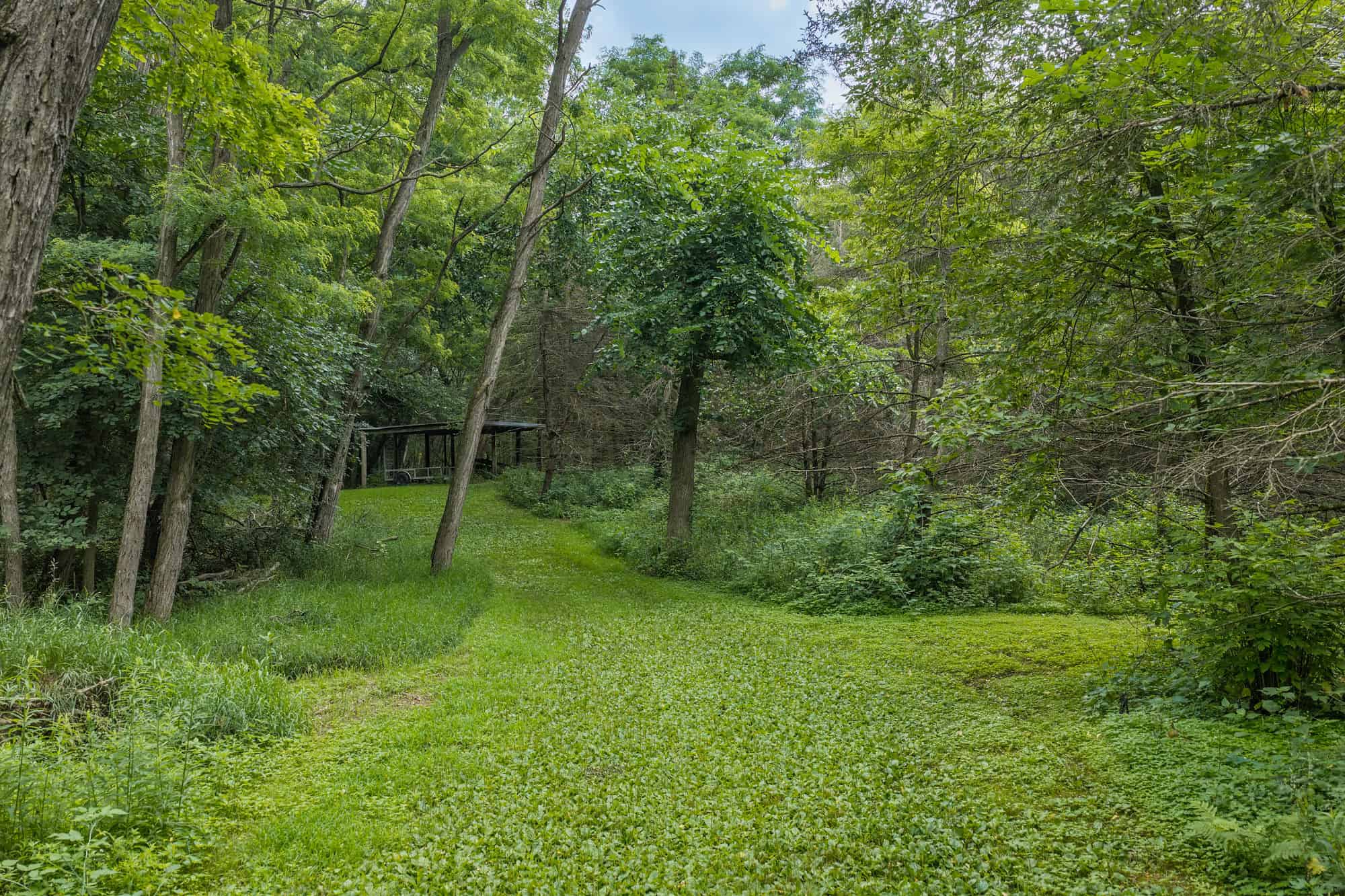 36 +/- Acres of Peaceful Living in Portage WI