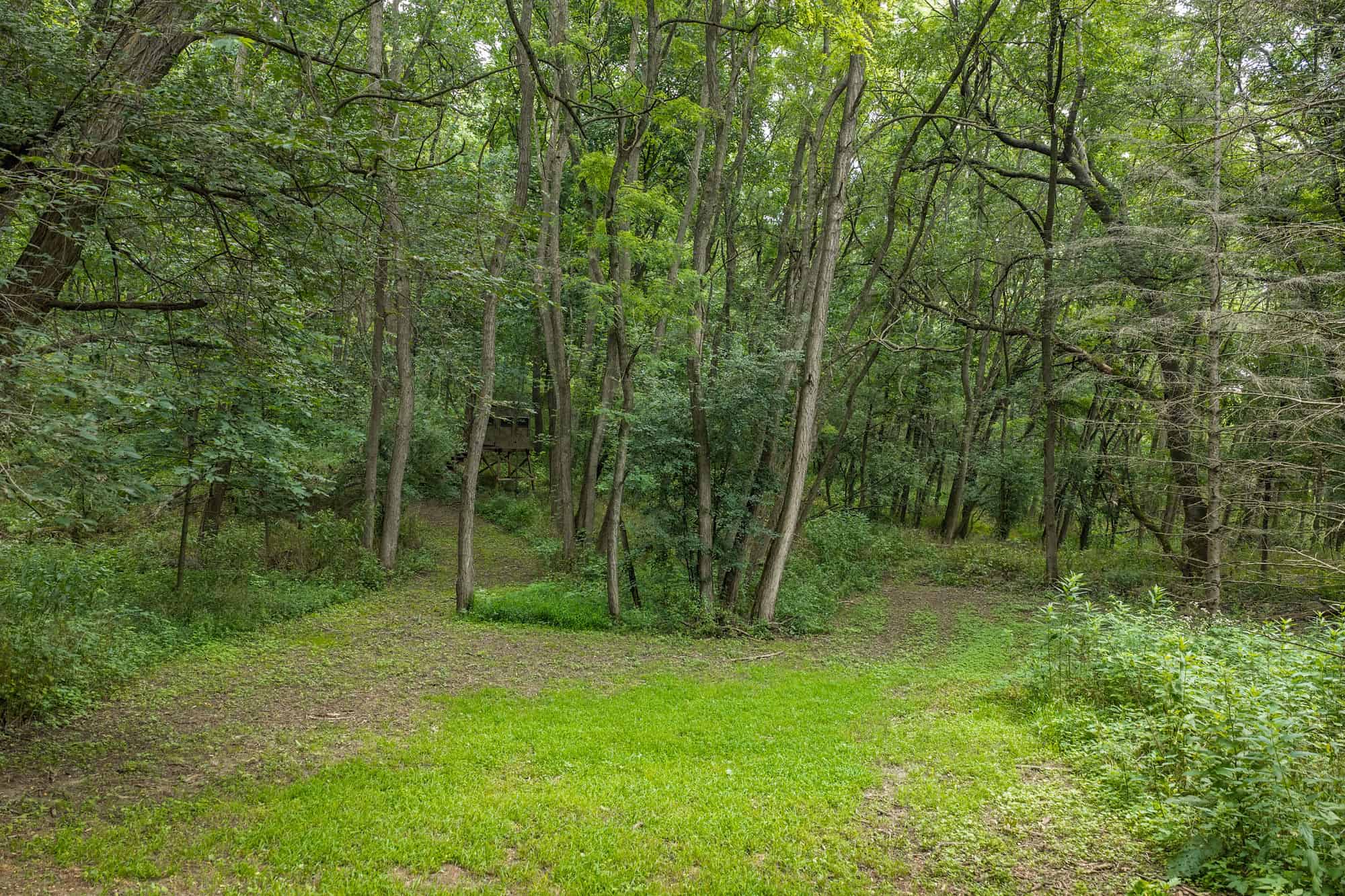 36 +/- Acres of Peaceful Living in Portage WI
