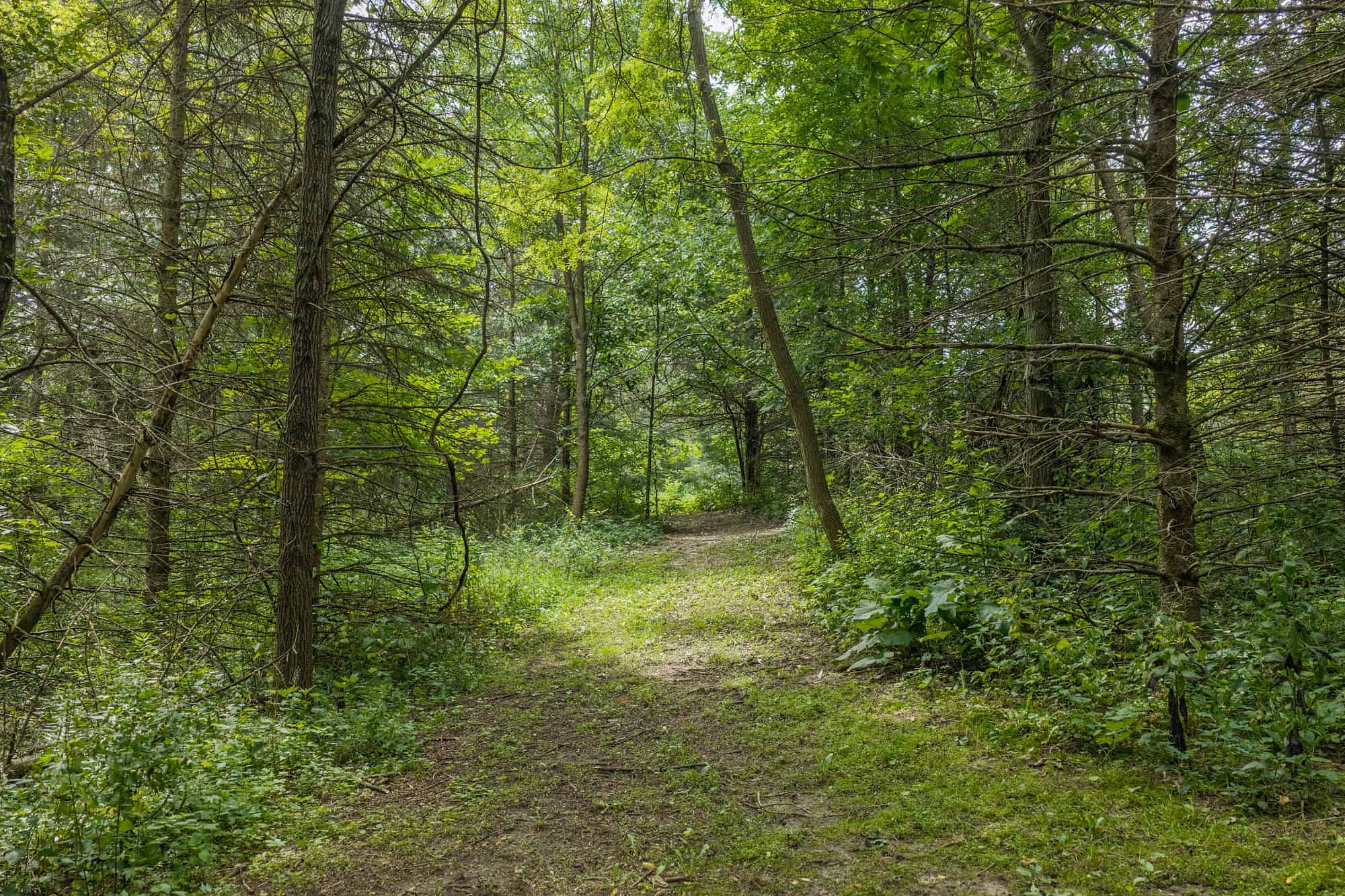 36 +/- Acres of Peaceful Living in Portage WI