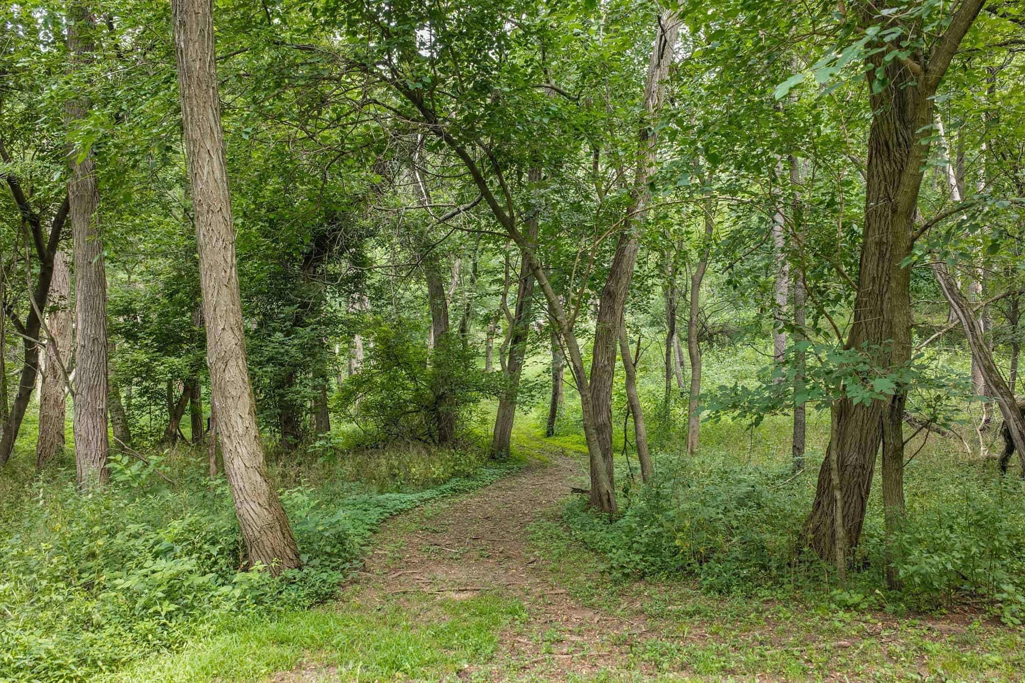 36 +/- Acres of Peaceful Living in Portage WI