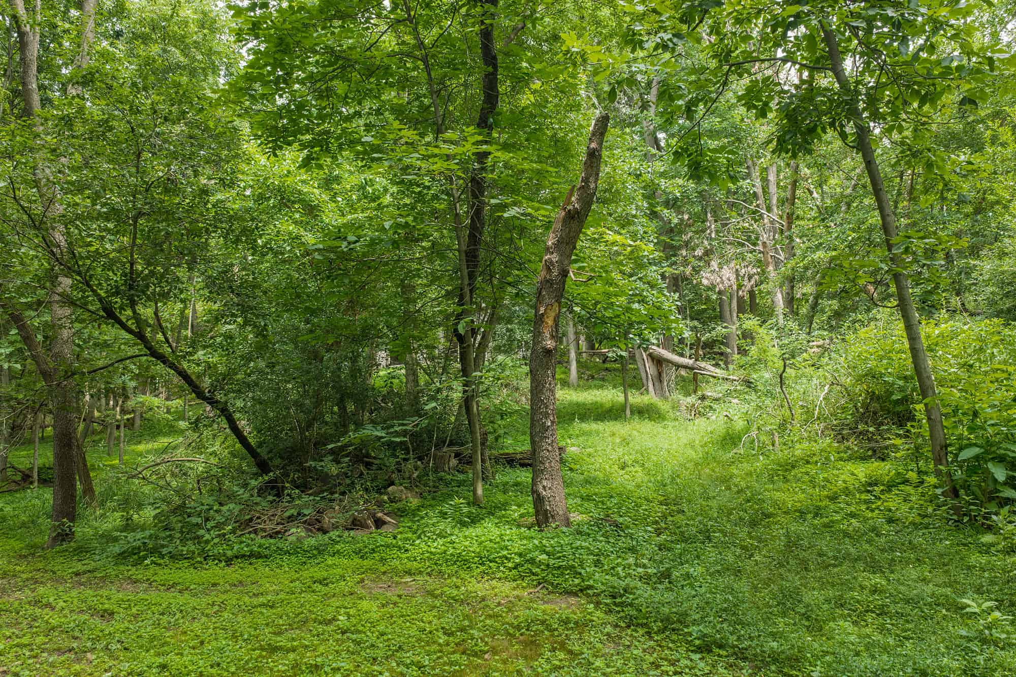 36 +/- Acres of Peaceful Living in Portage WI