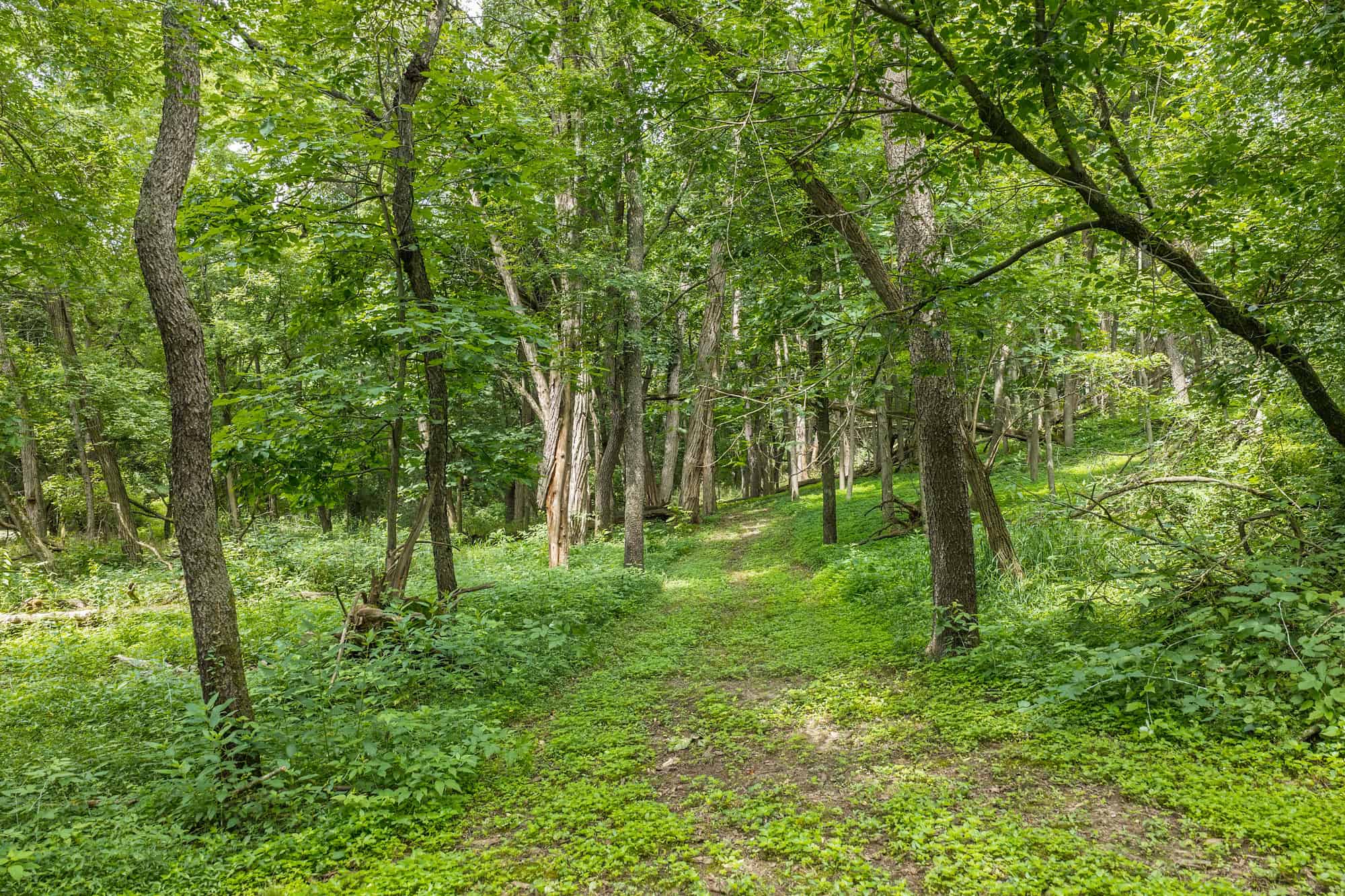 36 +/- Acres of Peaceful Living in Portage WI