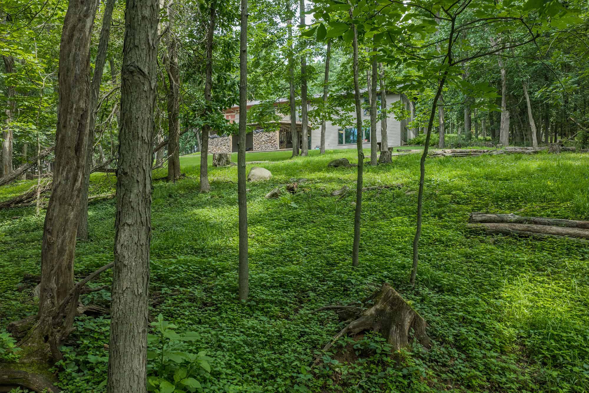 36 +/- Acres of Peaceful Living in Portage WI