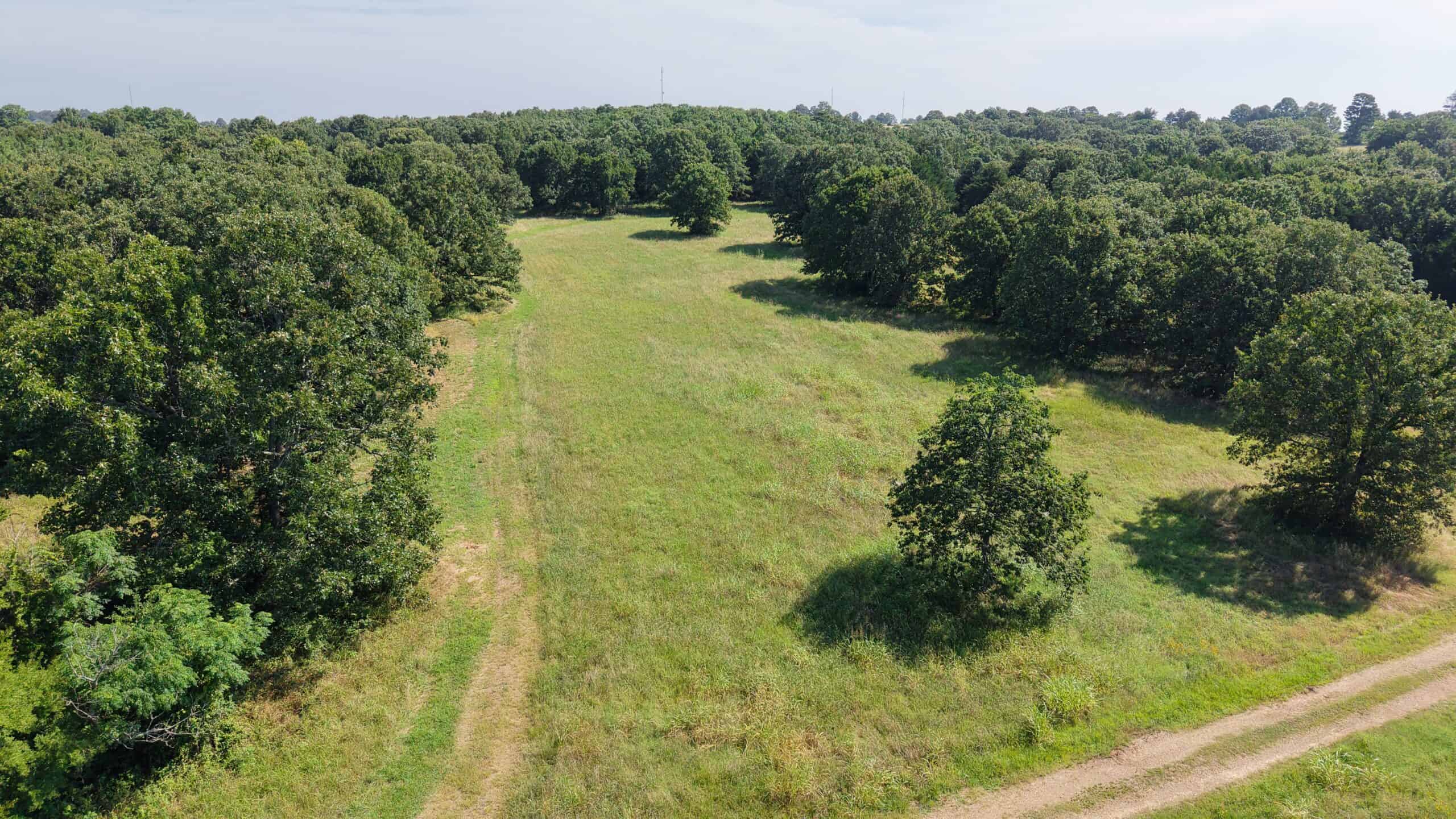LIVESTOCK FARM AND HUNTING PROPERTY FOR SALE IN ARKANSAS