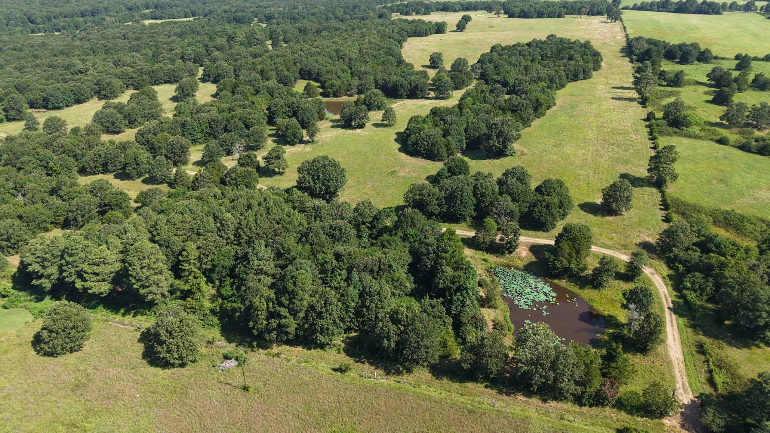 LIVESTOCK FARM AND HUNTING PROPERTY FOR SALE IN ARKANSAS