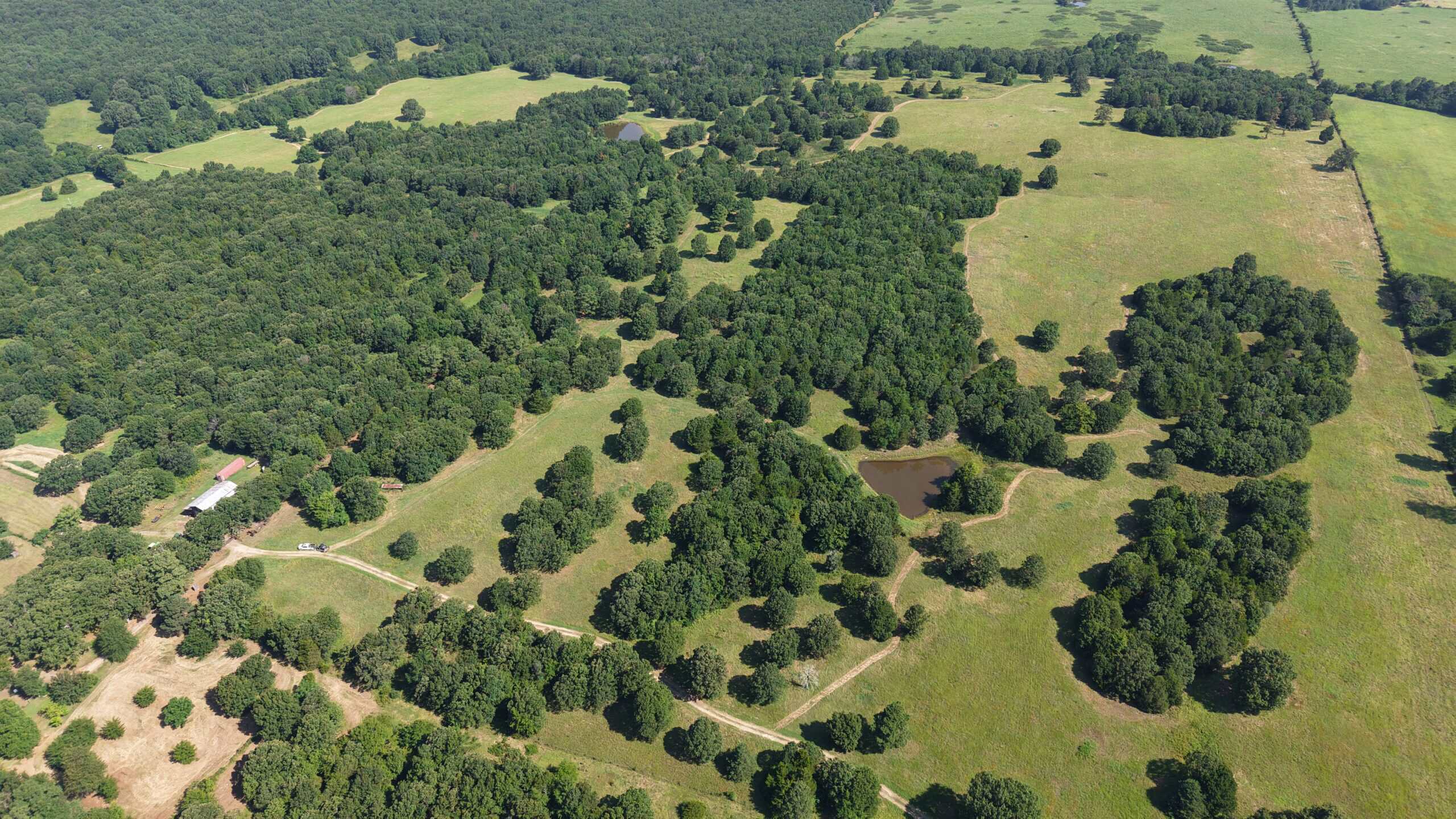 LIVESTOCK FARM AND HUNTING PROPERTY FOR SALE IN ARKANSAS
