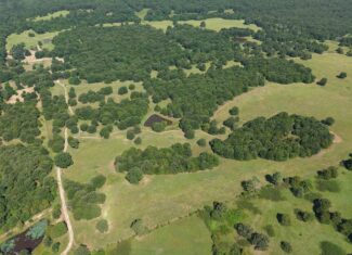 LIVESTOCK FARM AND HUNTING PROPERTY FOR SALE IN ARKANSAS