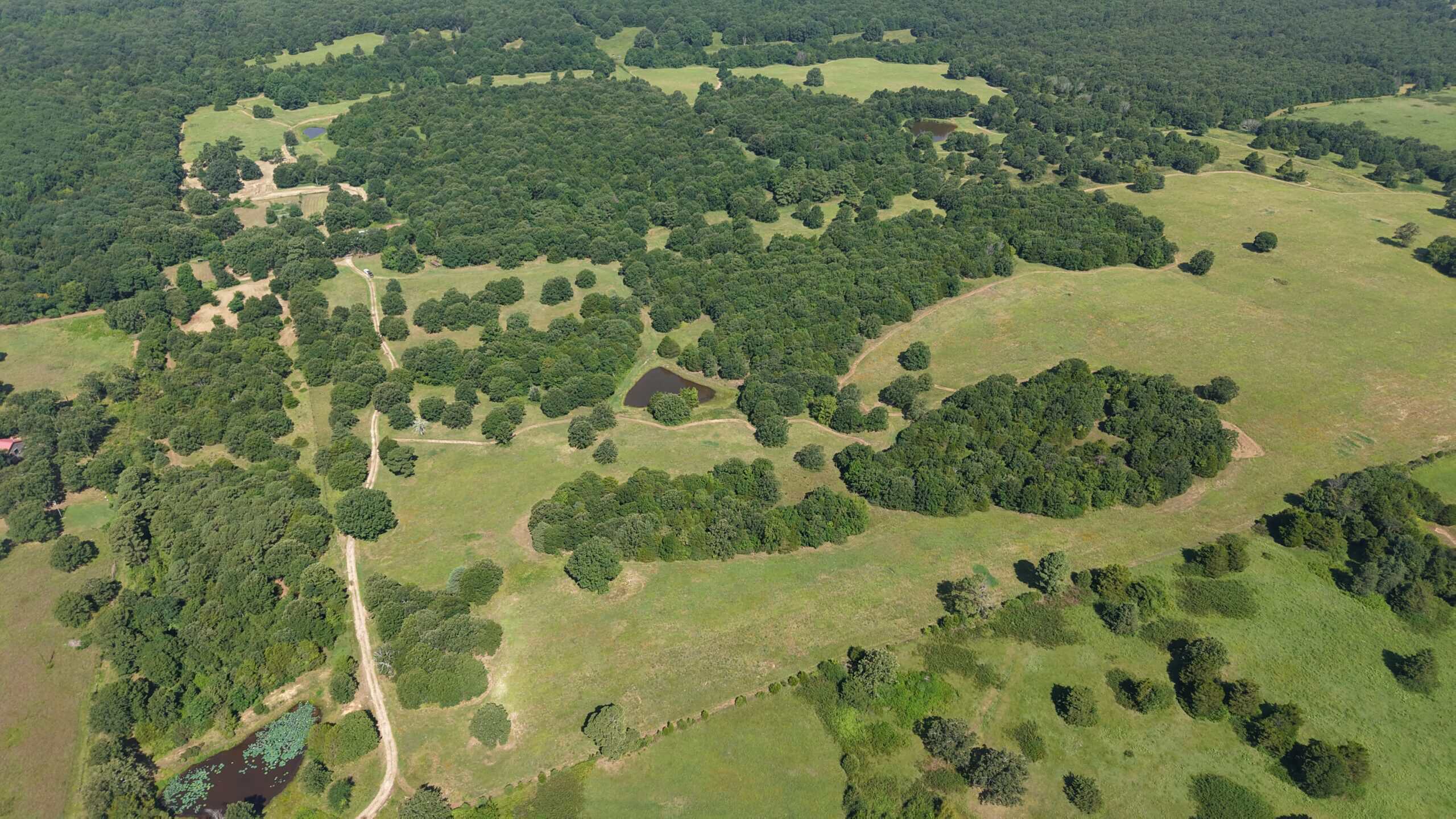 LIVESTOCK FARM AND HUNTING PROPERTY FOR SALE IN ARKANSAS