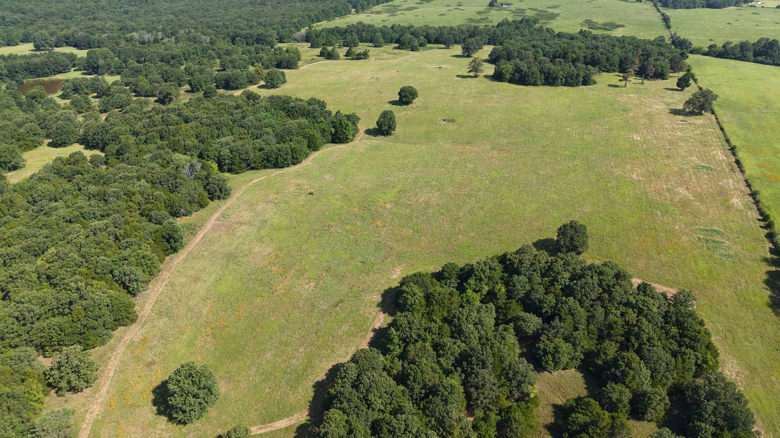 LIVESTOCK FARM AND HUNTING PROPERTY FOR SALE IN ARKANSAS