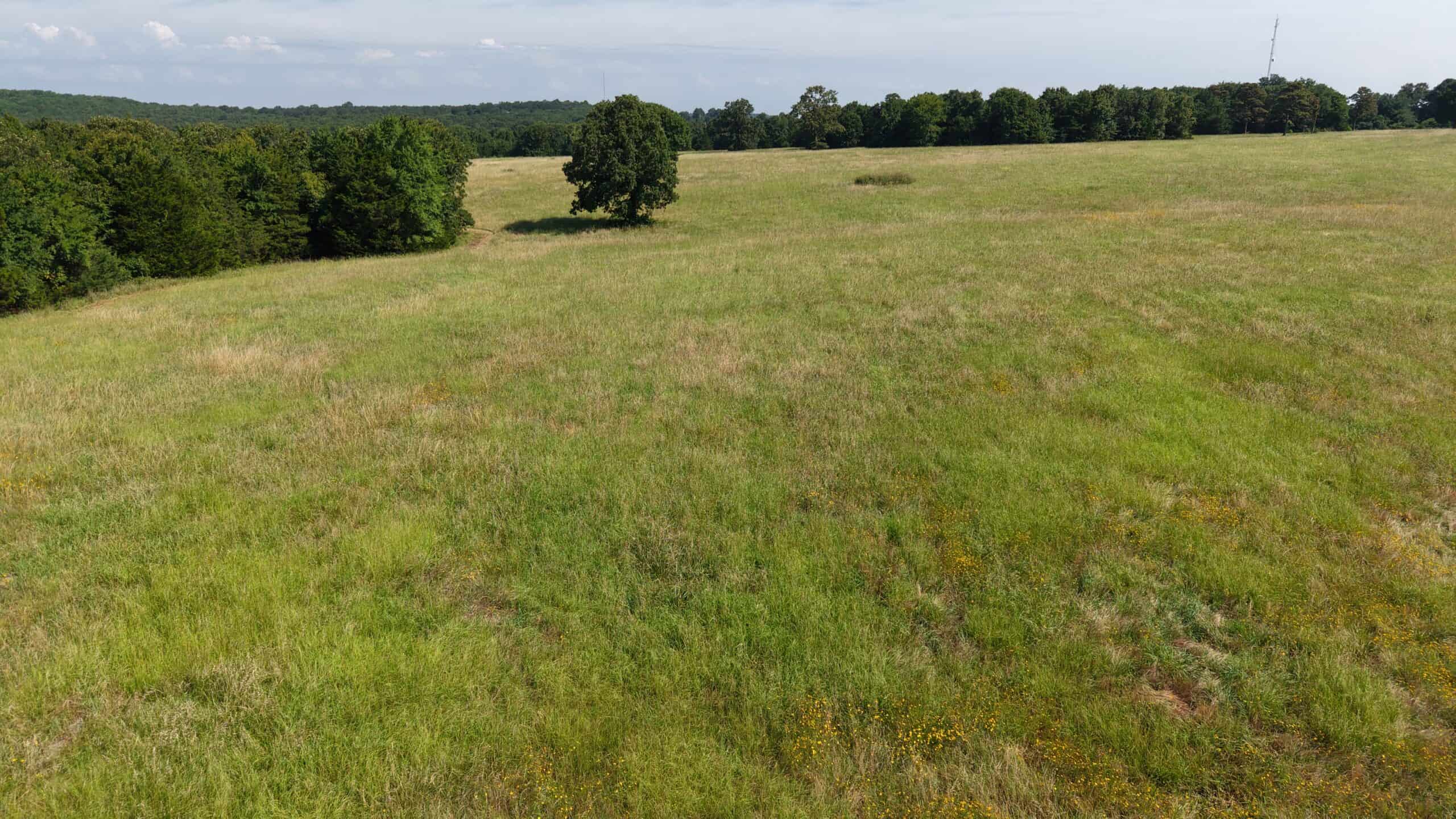 LIVESTOCK FARM AND HUNTING PROPERTY FOR SALE IN ARKANSAS