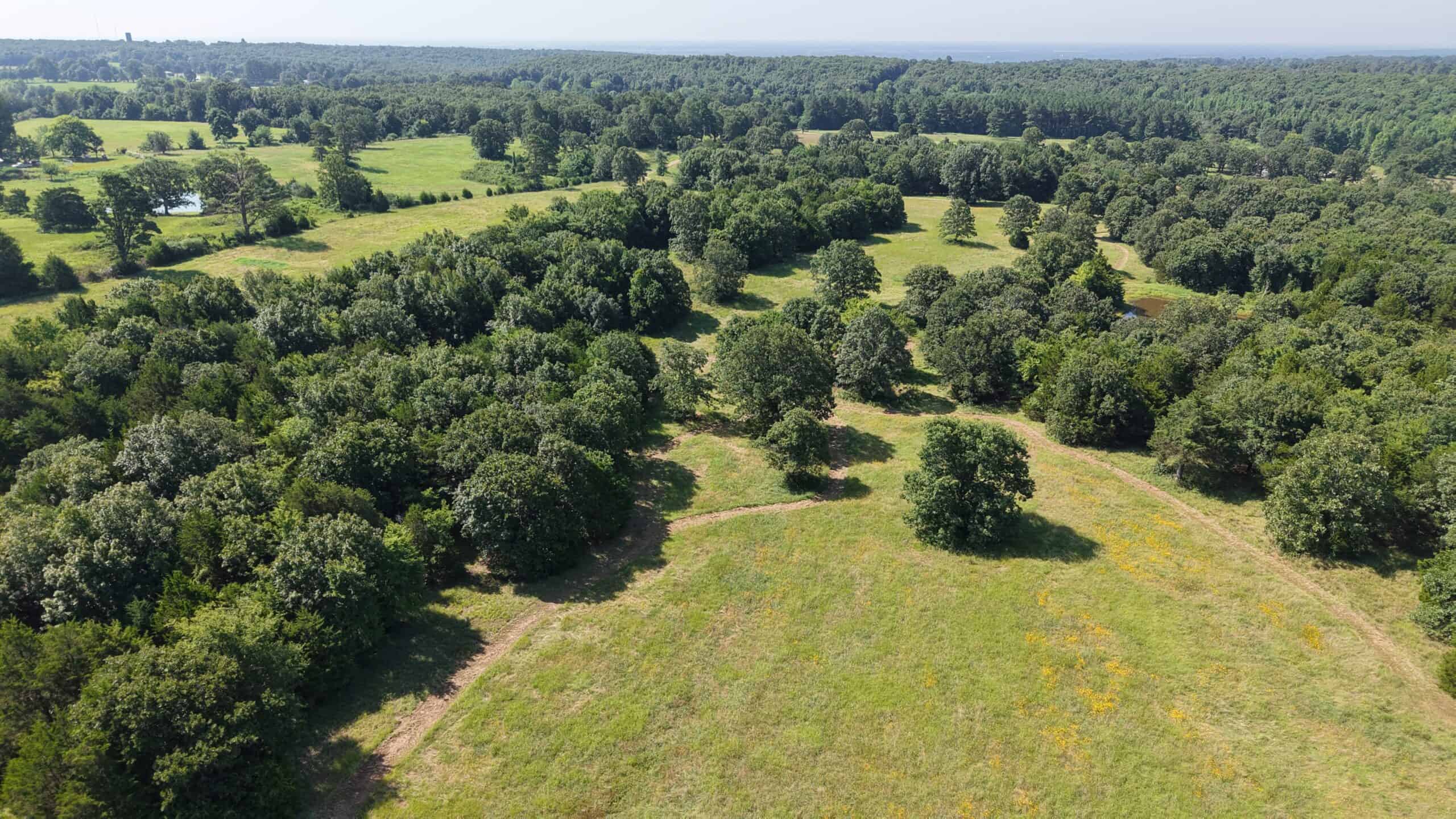 LIVESTOCK FARM AND HUNTING PROPERTY FOR SALE IN ARKANSAS