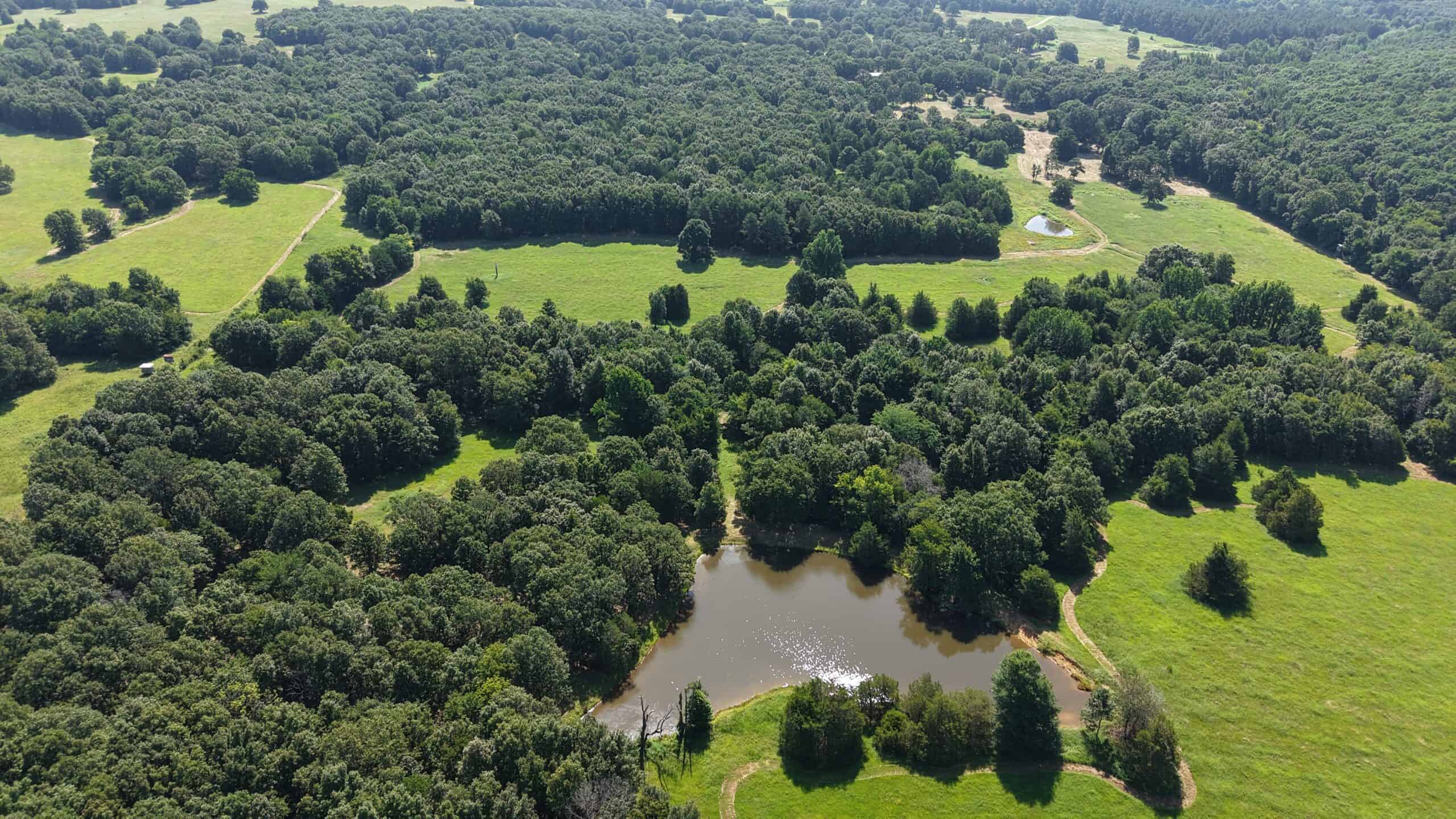 LIVESTOCK FARM AND HUNTING PROPERTY FOR SALE IN ARKANSAS